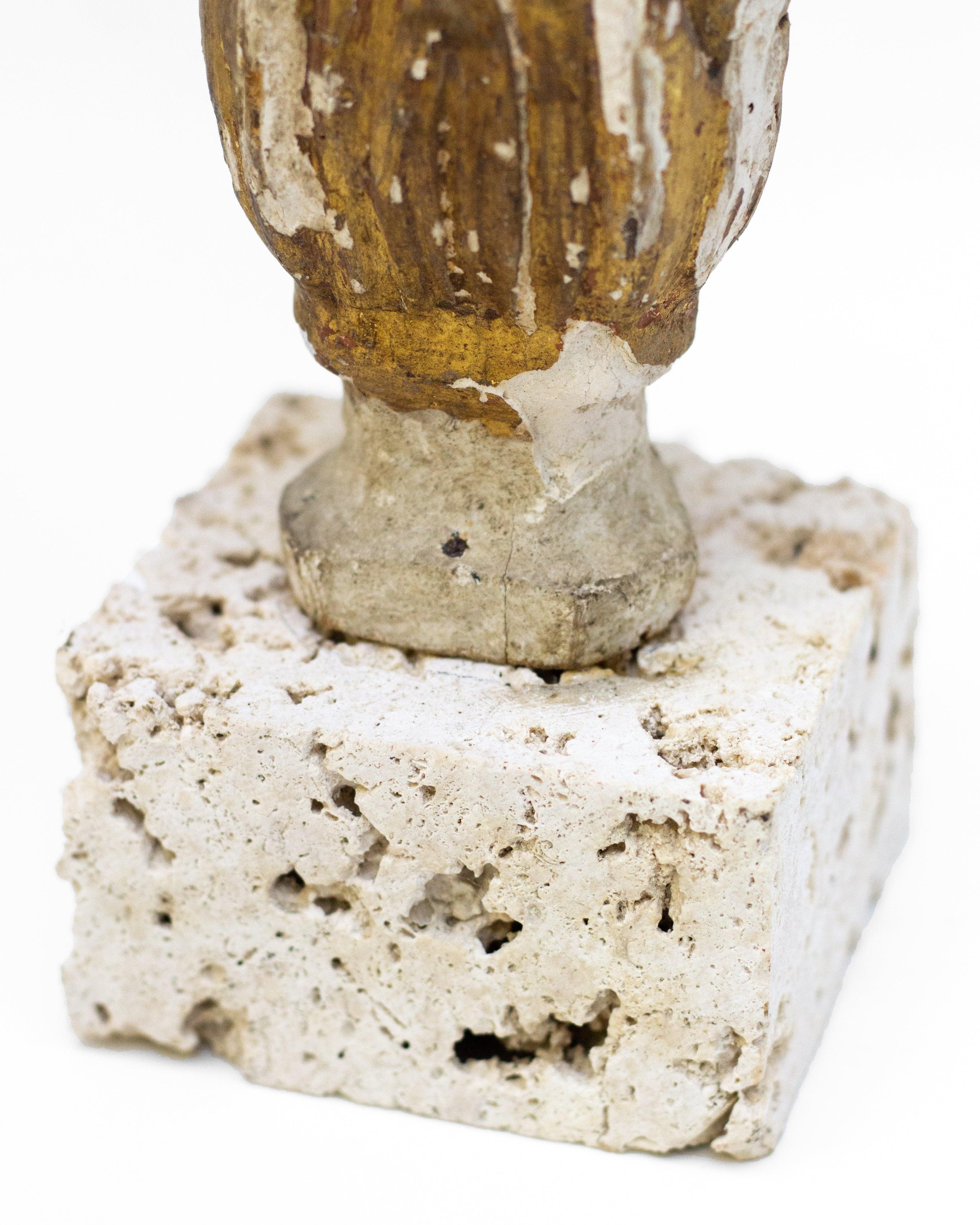 Rococo 18th Century Italian Fragment with Fossil Clam Shell on Cut Rock Coral Base For Sale