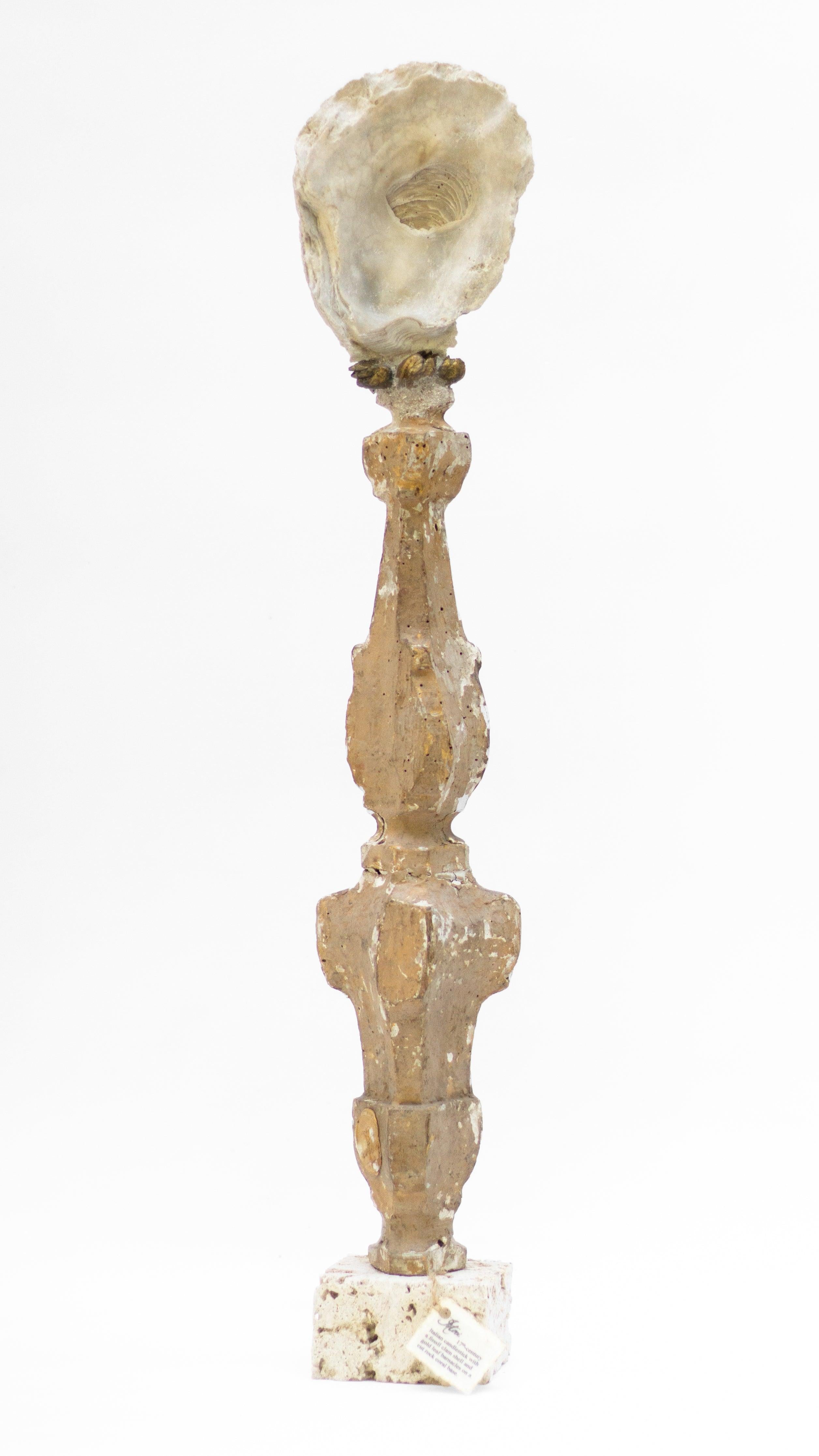 Hand-Carved 18th Century Italian Fragment with Fossil Clam Shell on Cut Rock Coral Base For Sale