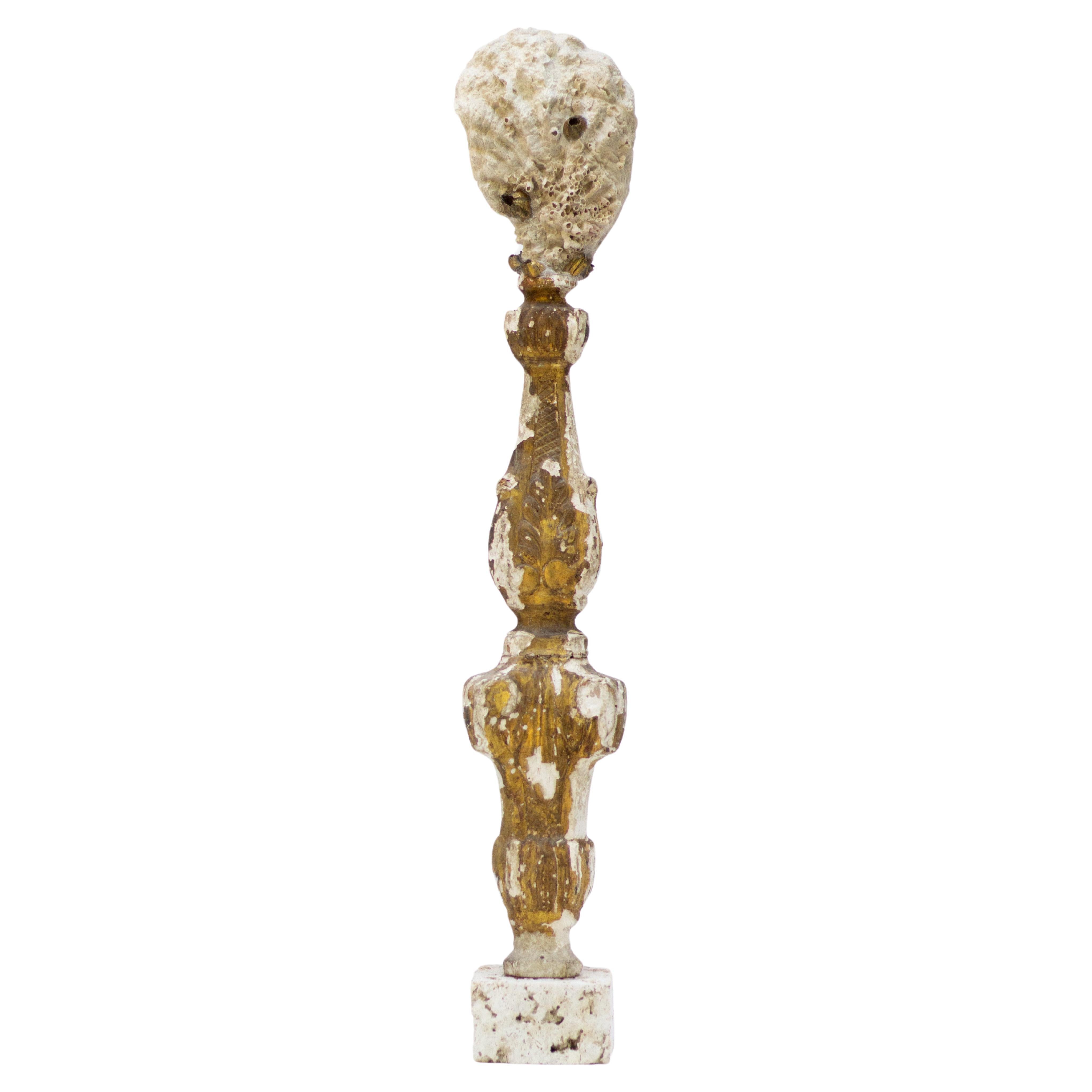 18th Century Italian Fragment with Fossil Clam Shell on Cut Rock Coral Base For Sale