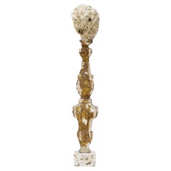 18th Century Italian Fragment with Fossil Clam Shell on Cut Rock Coral Base