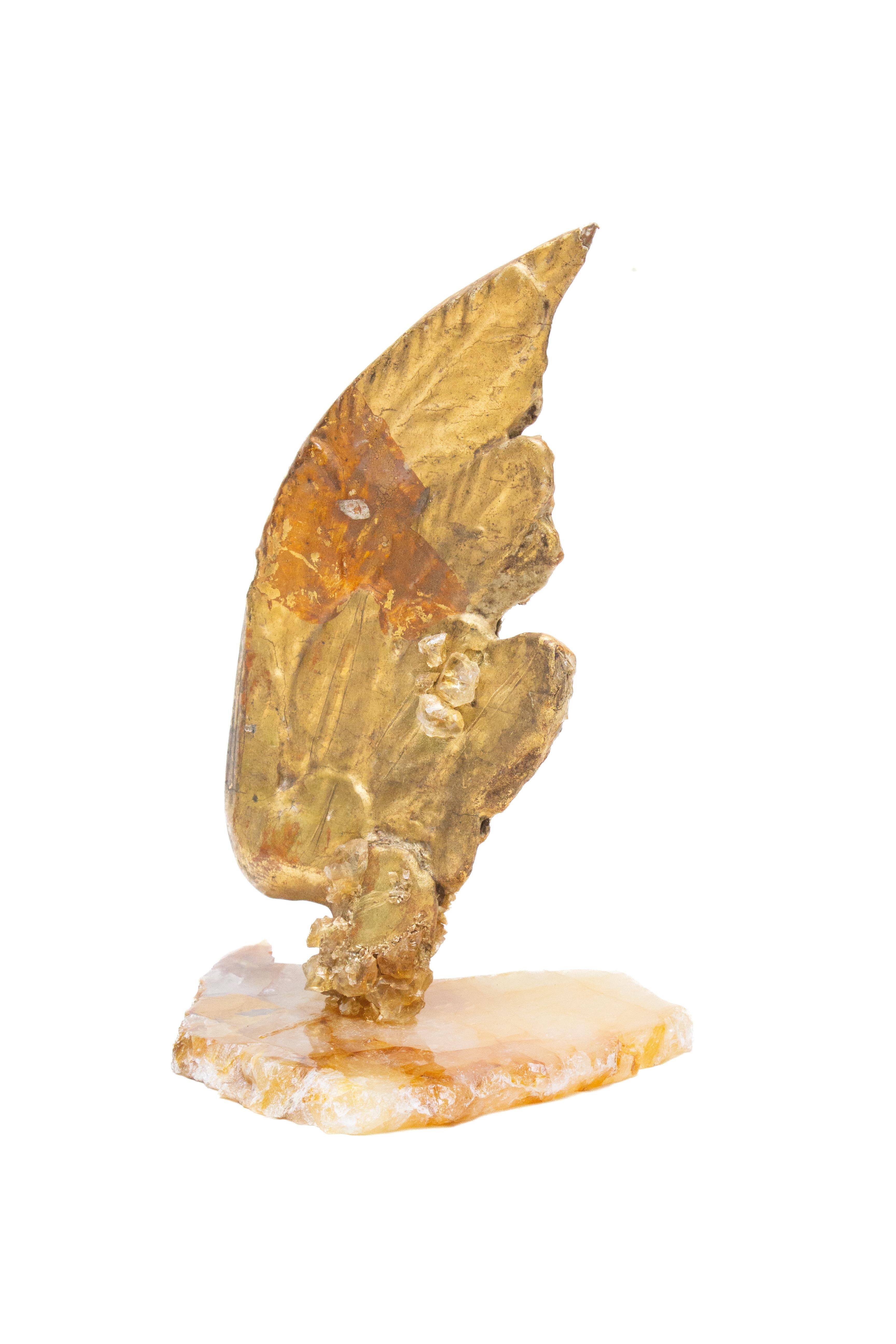 Italienischer vergoldeter und handgeschnitzter Engelsflügel aus dem 18. Jahrhundert auf einem goldenen Hematoid-Schrank (18. Jahrhundert und früher) im Angebot