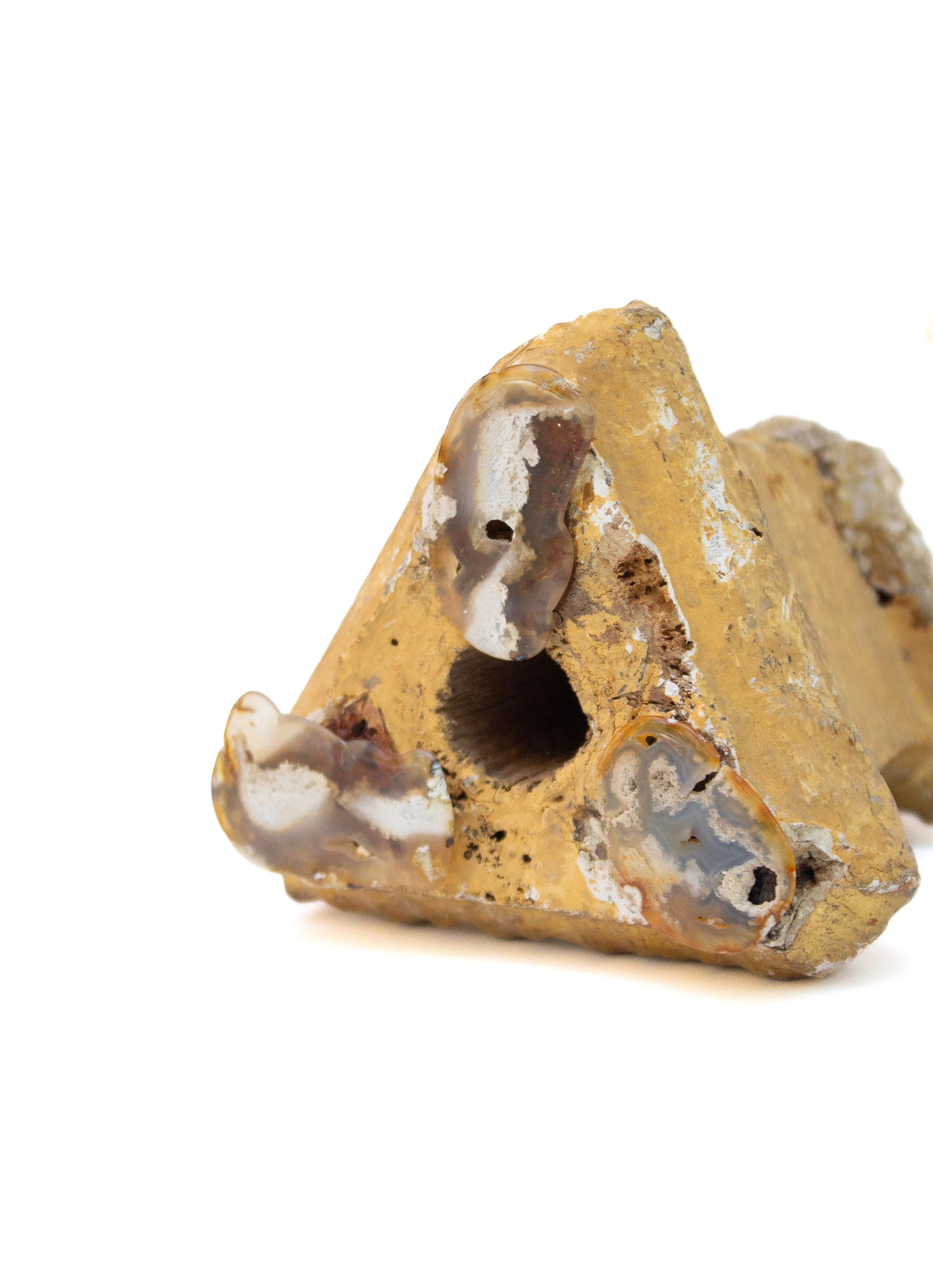 18th Century Italian Gilded Base with Plaster Cherub and Polished Agate Coral For Sale 1