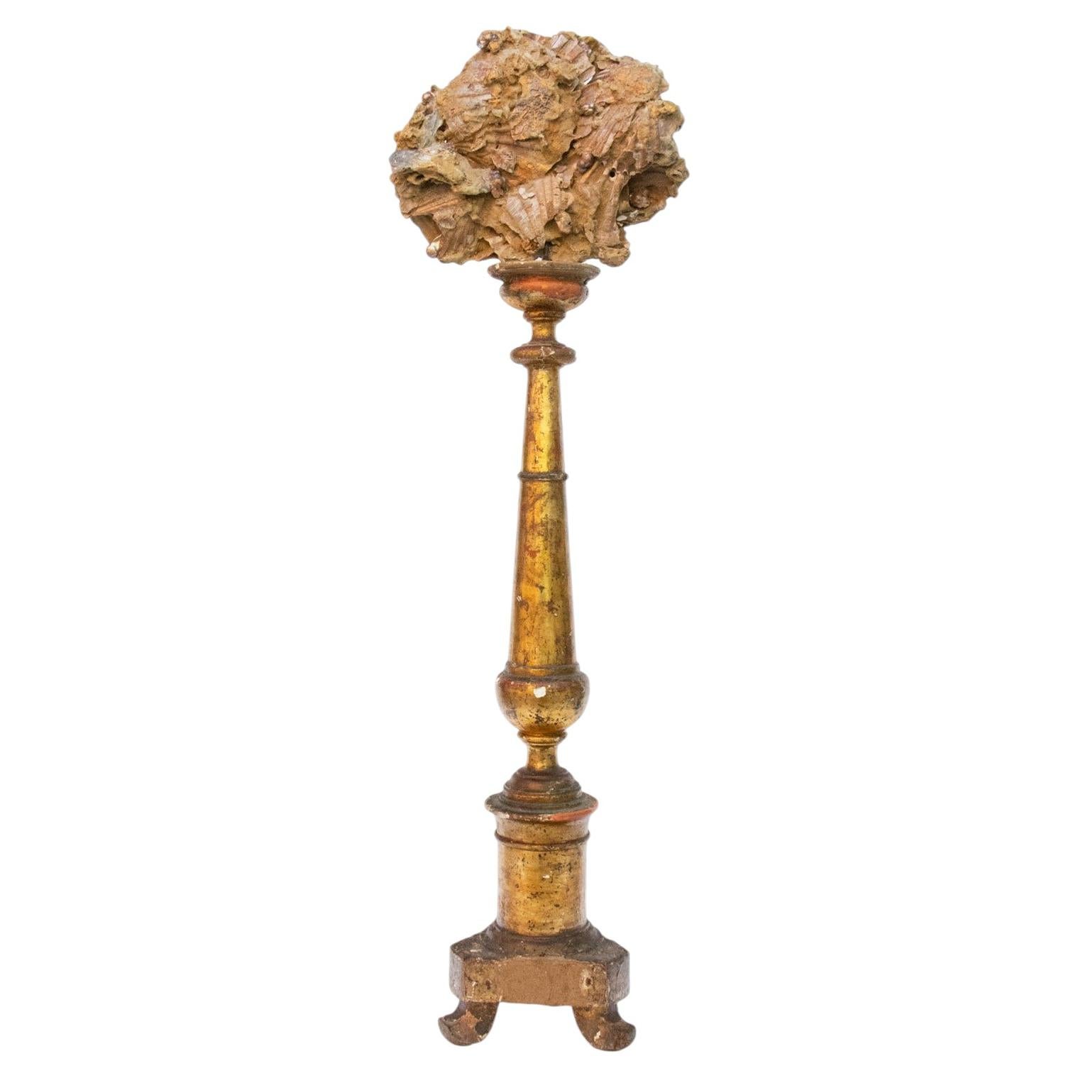 18th Century Italian Gilded Candlestick with Fossil Chesapecten Formation