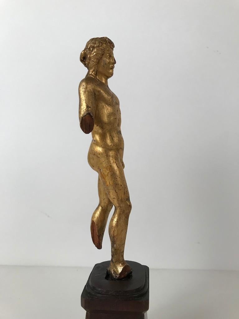 18th Century Italian Giltwood Carving of Apollo 7