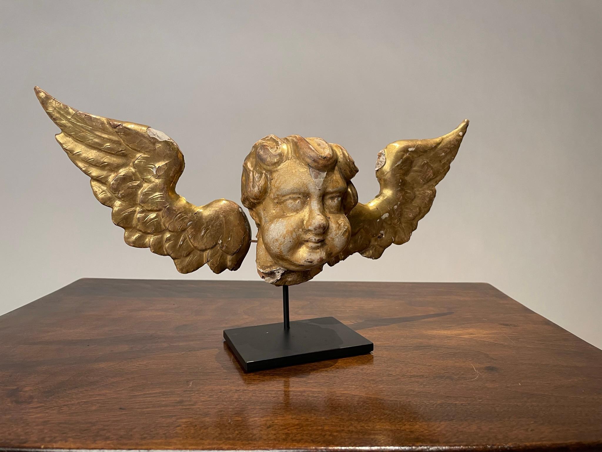 18th Century Italian Gilt Wood Winged Angel Putto  For Sale 4