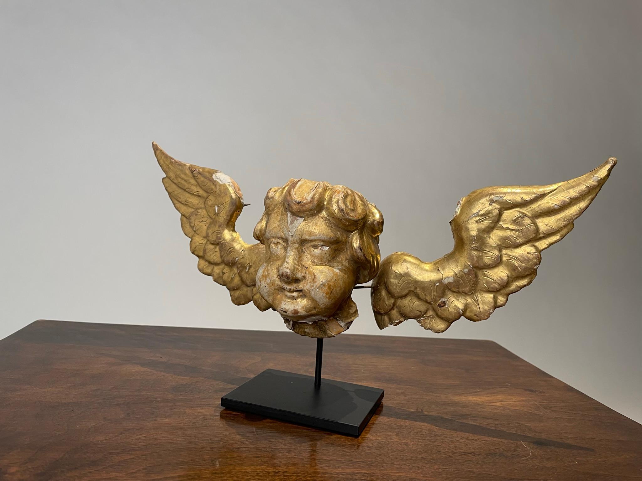 Putto ange ailé en bois doré italien du 18e siècle  en vente 4