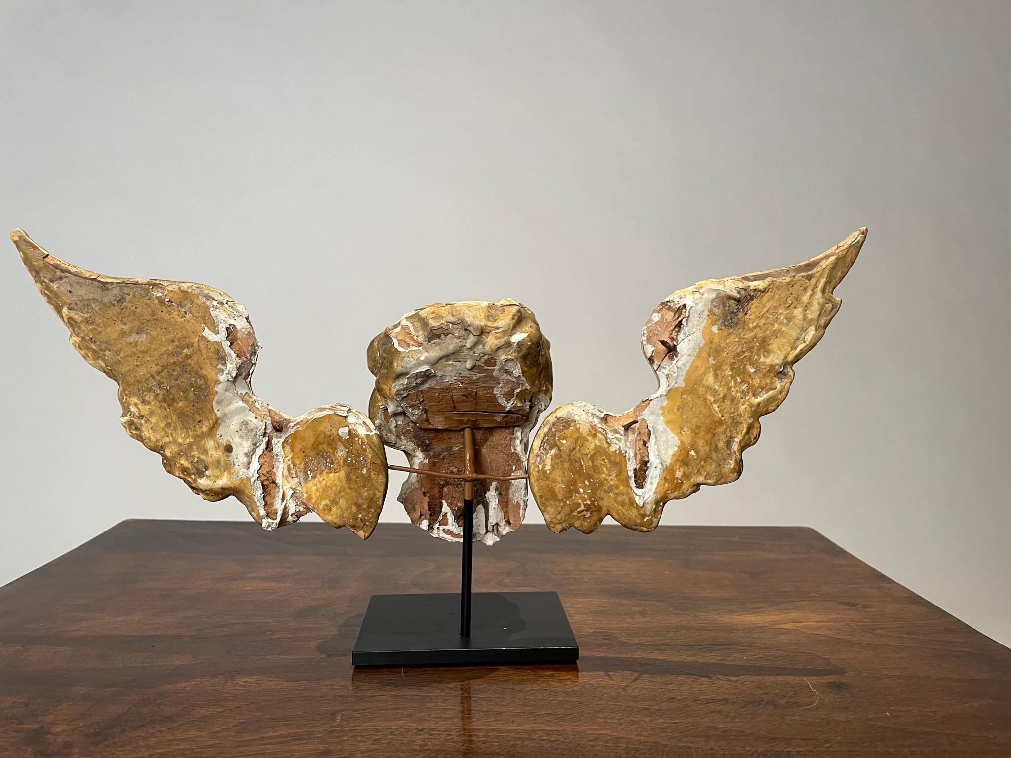 18th Century Italian Gilt Wood Winged Angel Putto  For Sale 7