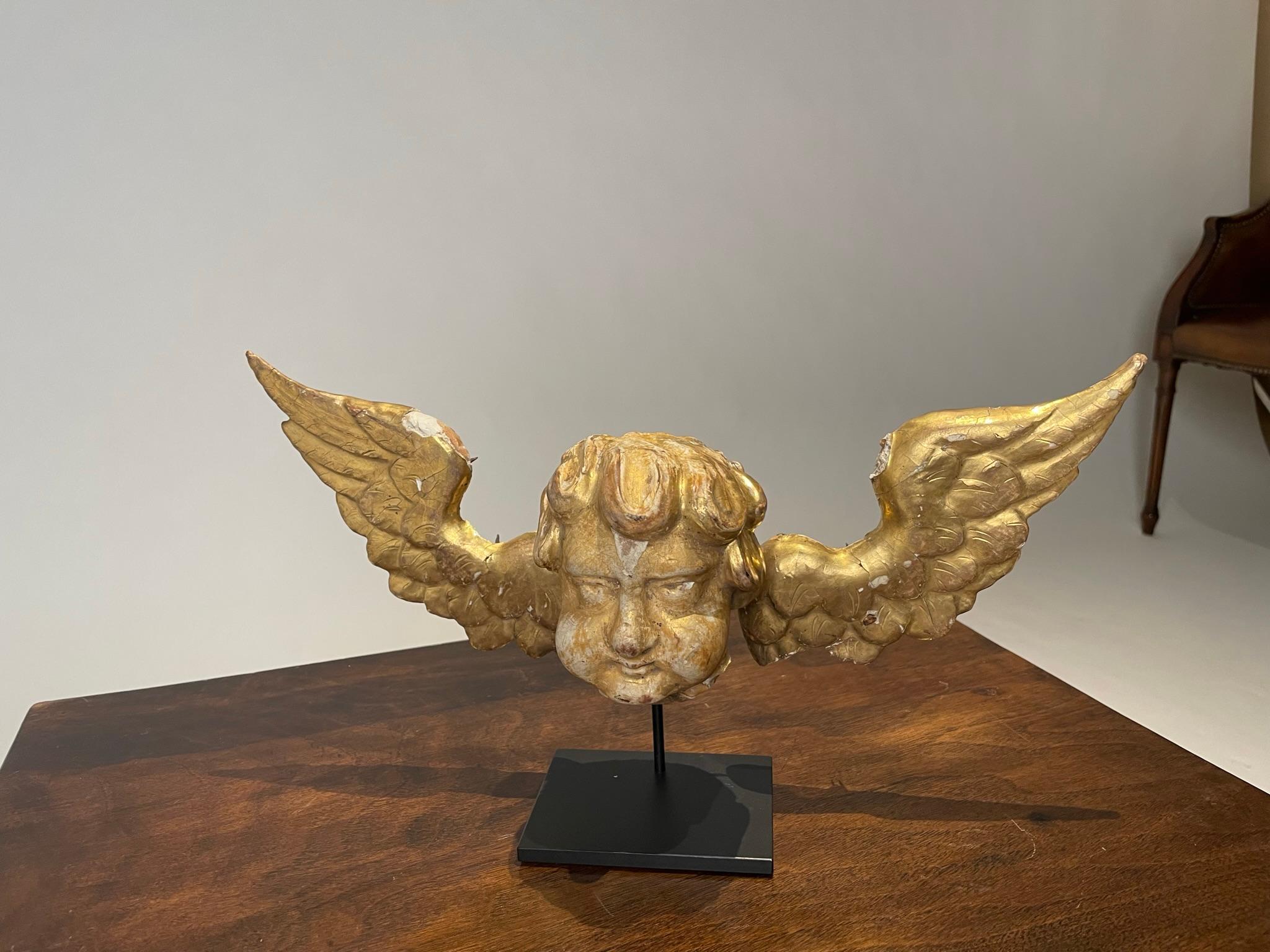 18th Century Italian Gilt Wood Winged Angel Putto  For Sale 9