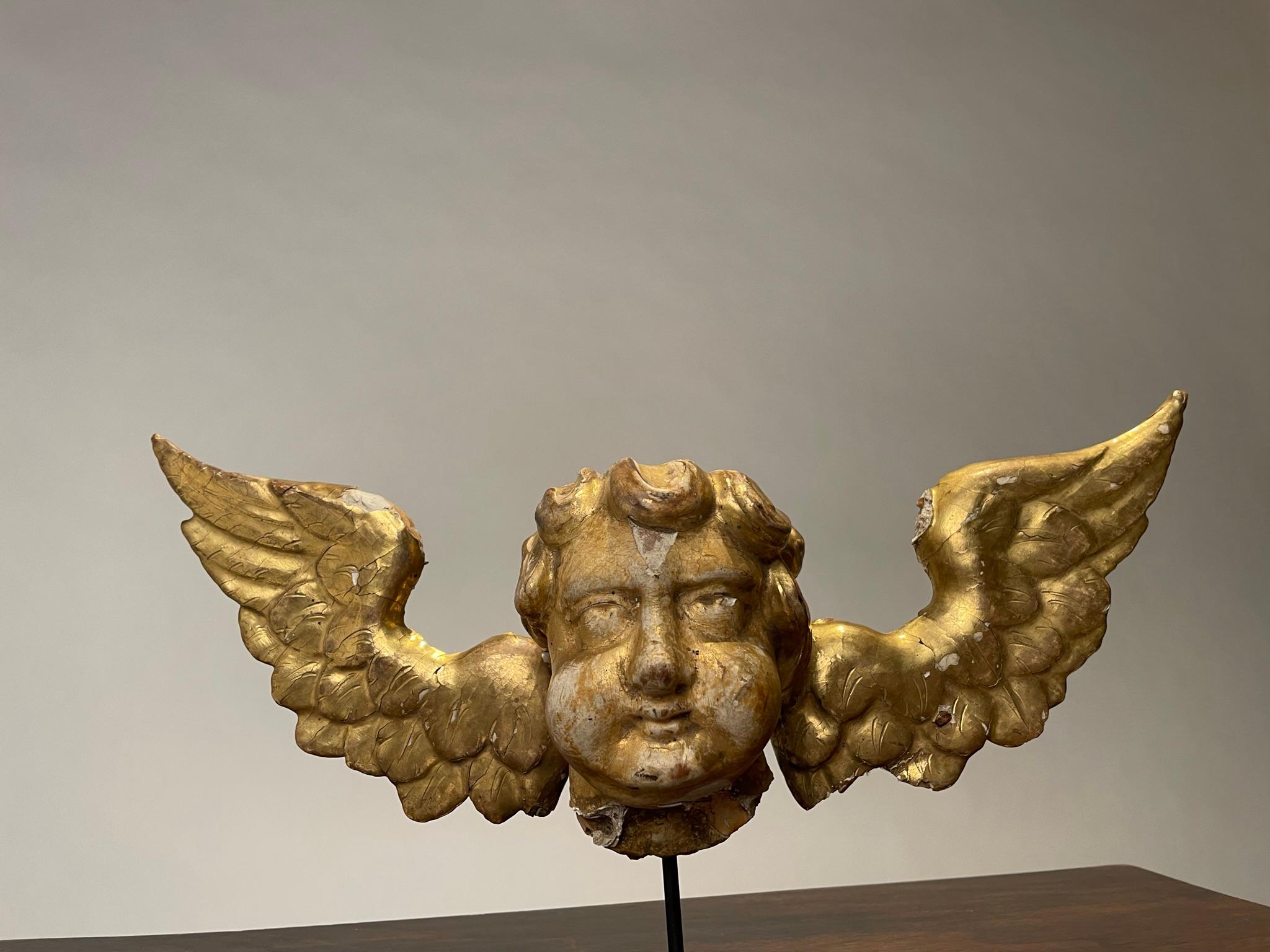 Putto ange ailé en bois doré italien du 18e siècle  en vente 9