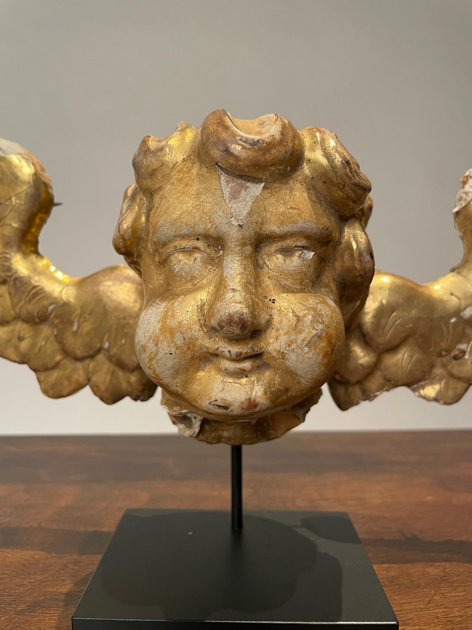 18th Century Italian Gilt Wood Winged Angel Putto  For Sale 11