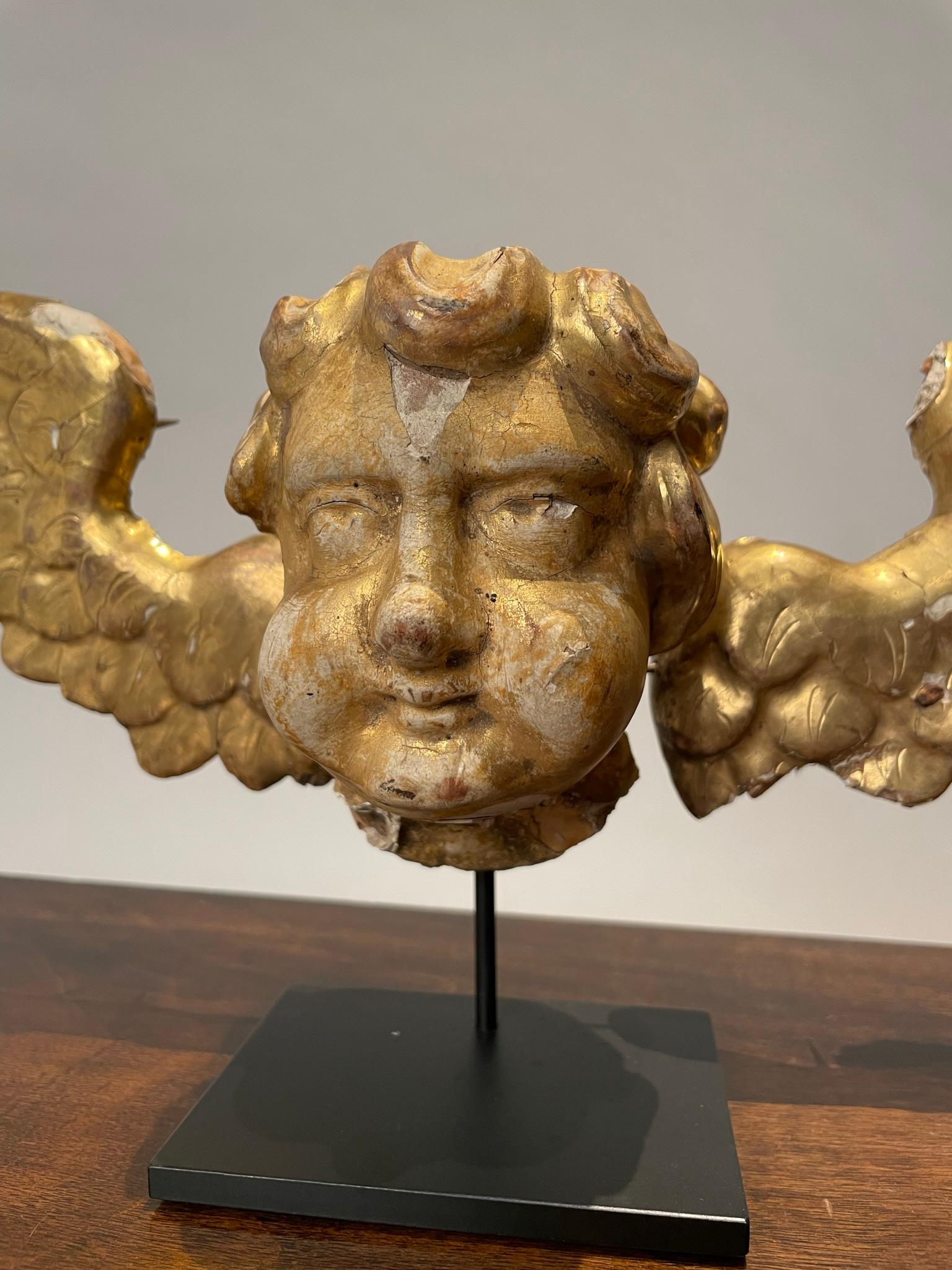 Baroque 18th Century Italian Gilt Wood Winged Angel Putto  For Sale