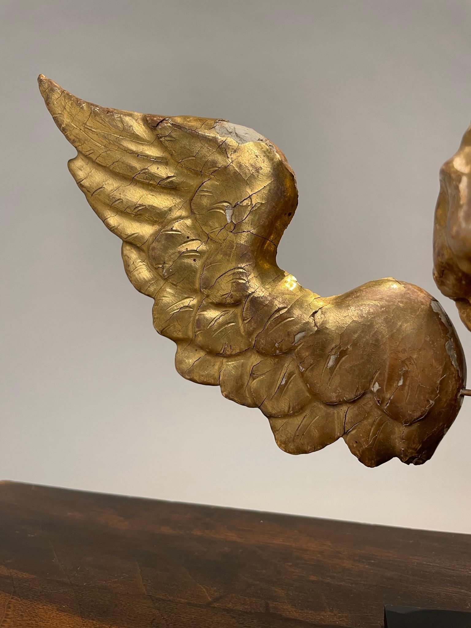Hand-Carved 18th Century Italian Gilt Wood Winged Angel Putto  For Sale
