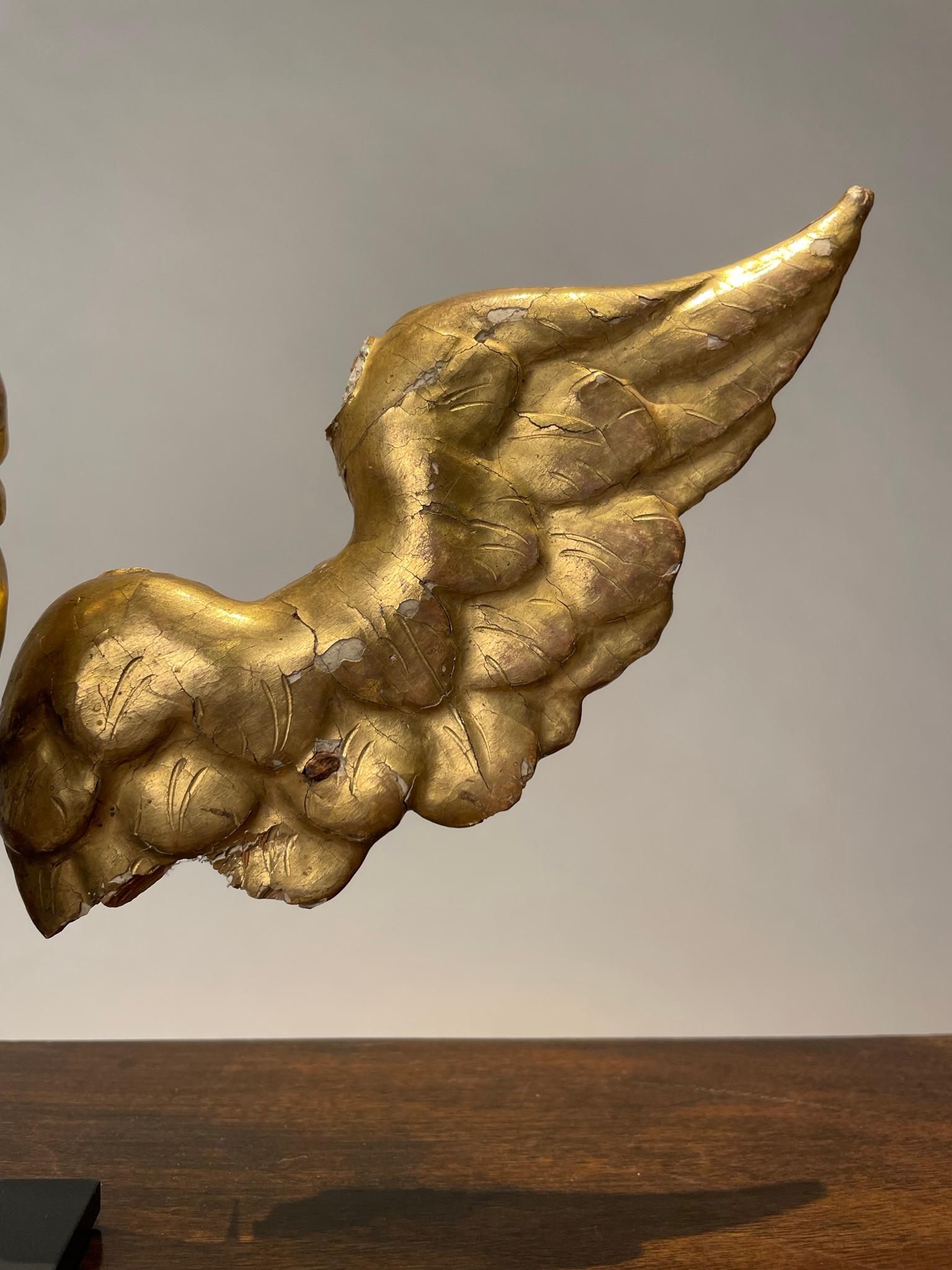 18th Century Italian Gilt Wood Winged Angel Putto  In Good Condition For Sale In Stamford, CT