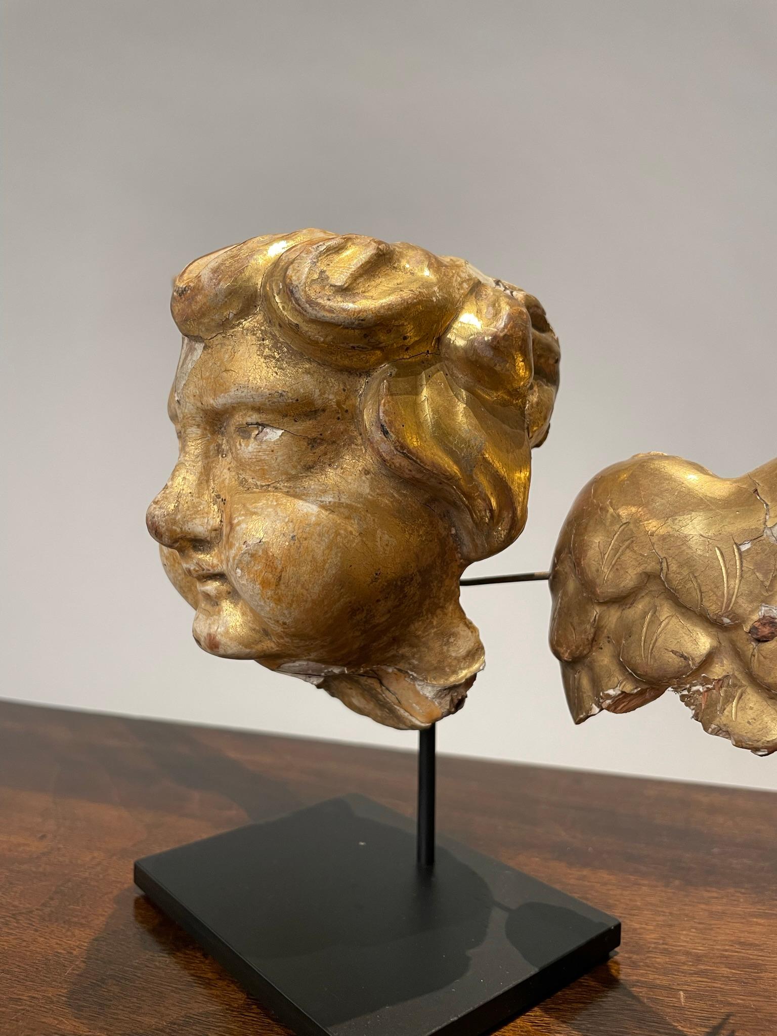 Giltwood 18th Century Italian Gilt Wood Winged Angel Putto  For Sale