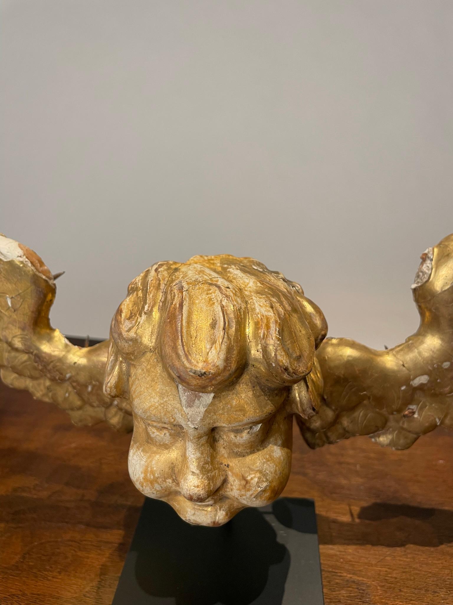 18th Century Italian Gilt Wood Winged Angel Putto  For Sale 2