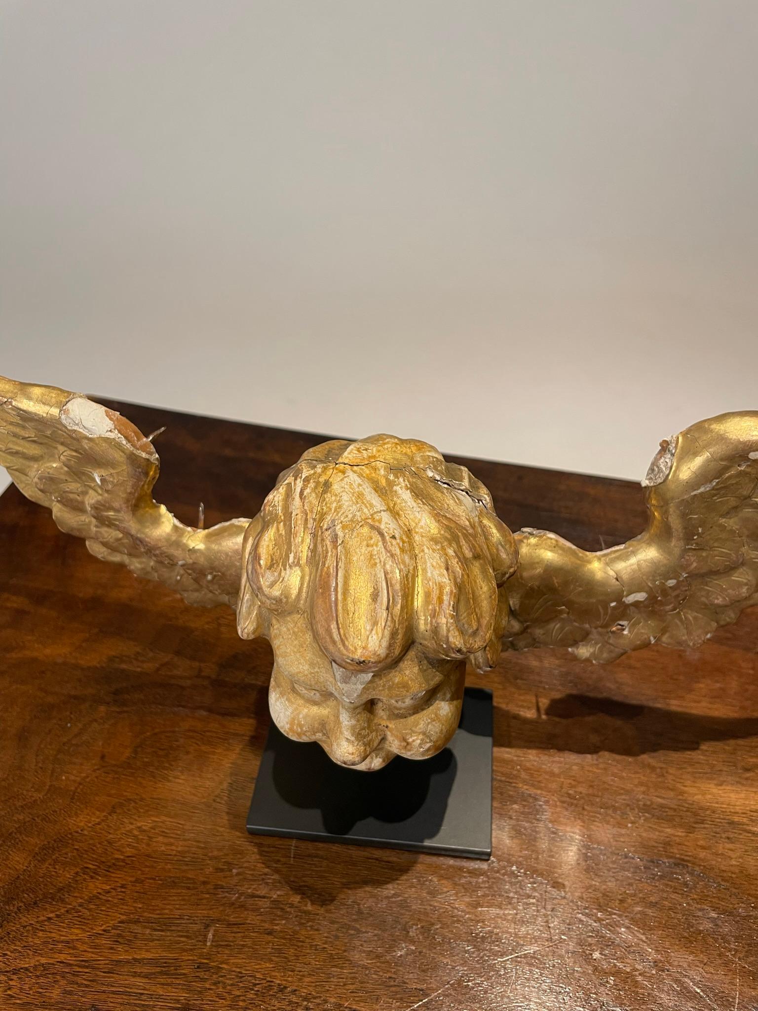 18th Century Italian Gilt Wood Winged Angel Putto  For Sale 3