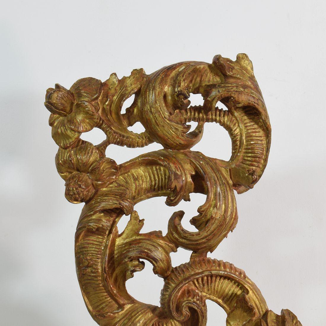 18th Century Italian Giltwood Baroque Curl Ornament 5