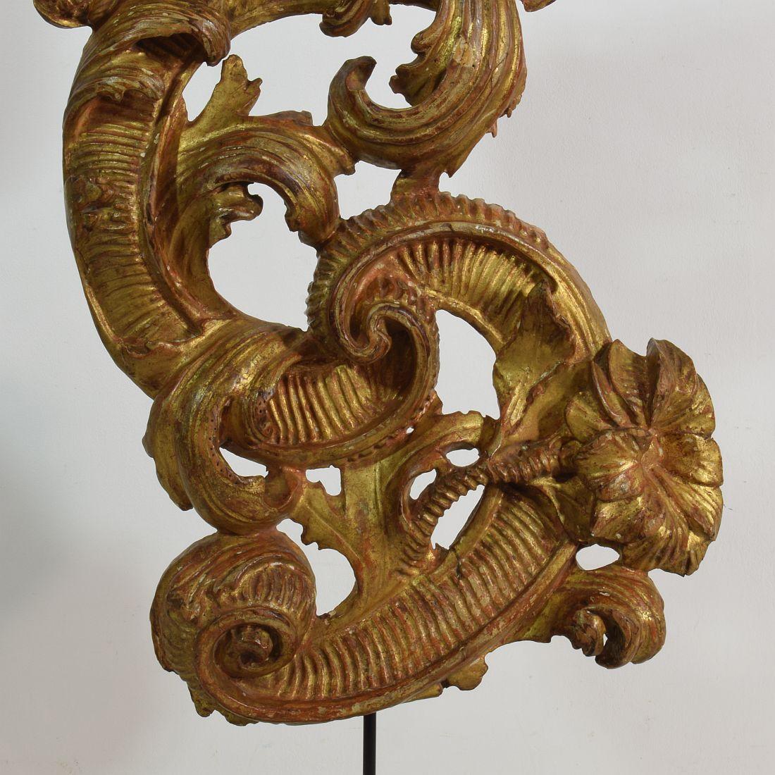 18th Century Italian Giltwood Baroque Curl Ornament 6