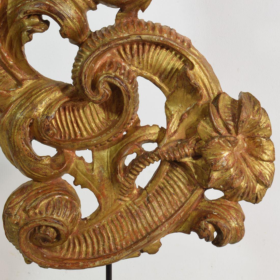 18th Century Italian Giltwood Baroque Curl Ornament 10