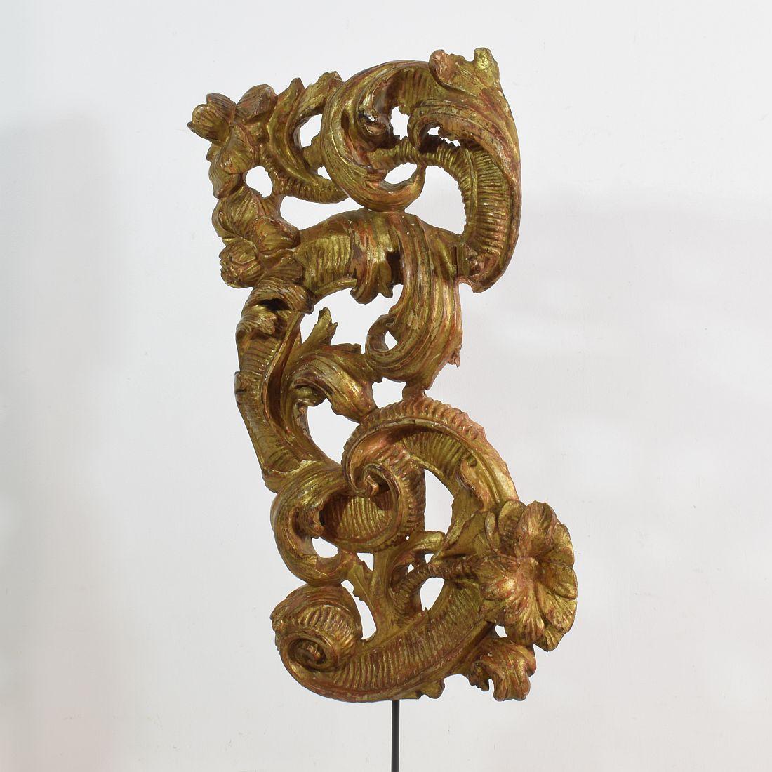 18th Century Italian Giltwood Baroque Curl Ornament 2