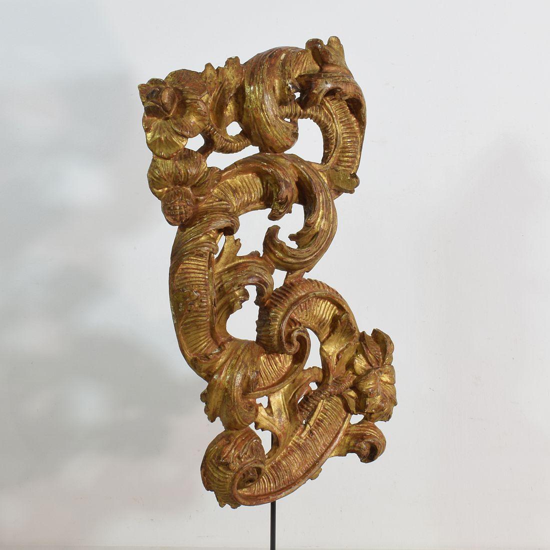 18th Century Italian Giltwood Baroque Curl Ornament 3