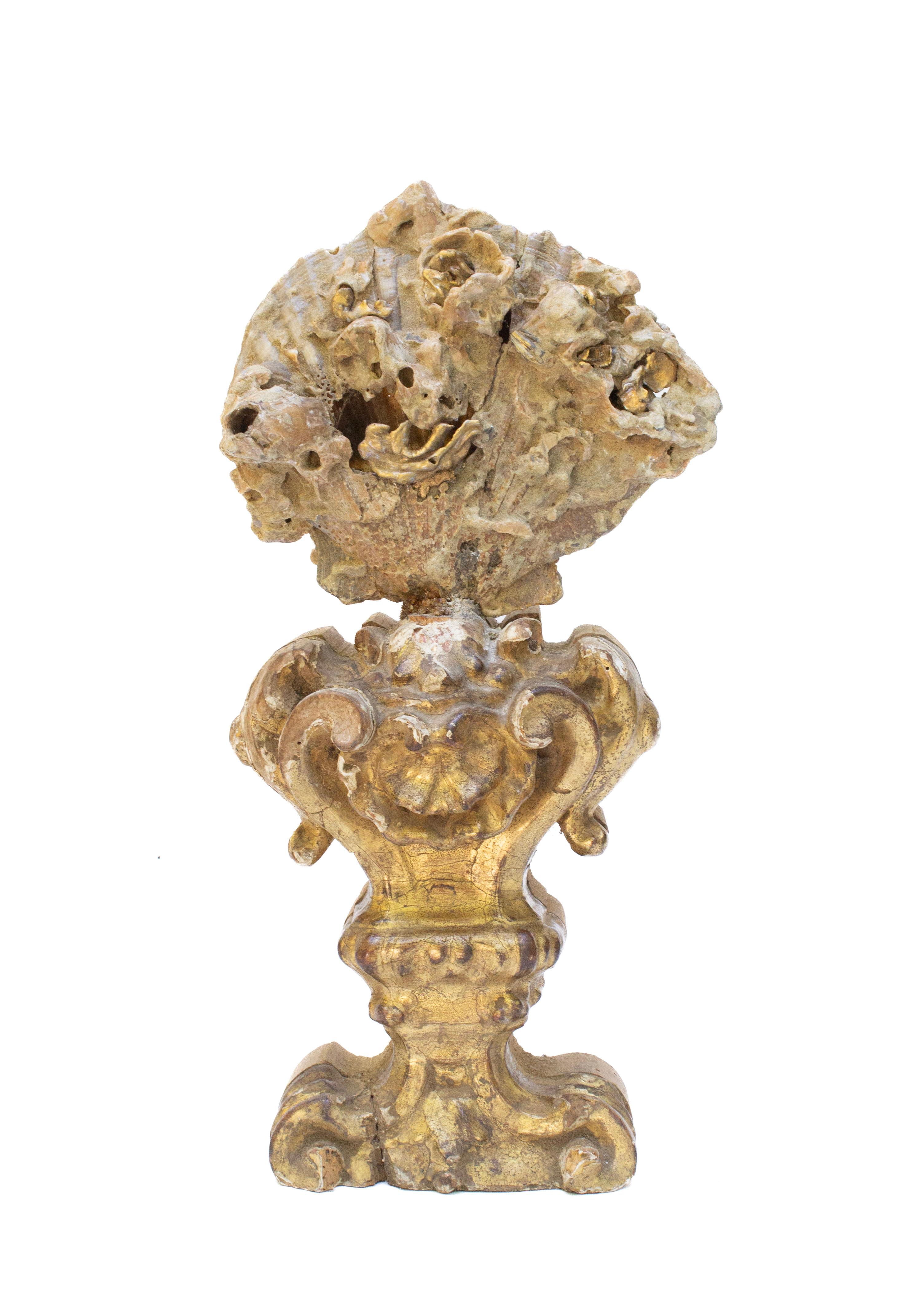 Sculptural 18th century Italian hand-carved and gilded base with a Chesapecten fossil shell formation and natural-forming baroque pearls.

The Chesapecten shell cluster was found from the banks of the James River and are usually 3 to 8 million years