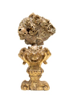 18th Century Italian Giltwood Base with a Chesapecten Fossil Shell Formation