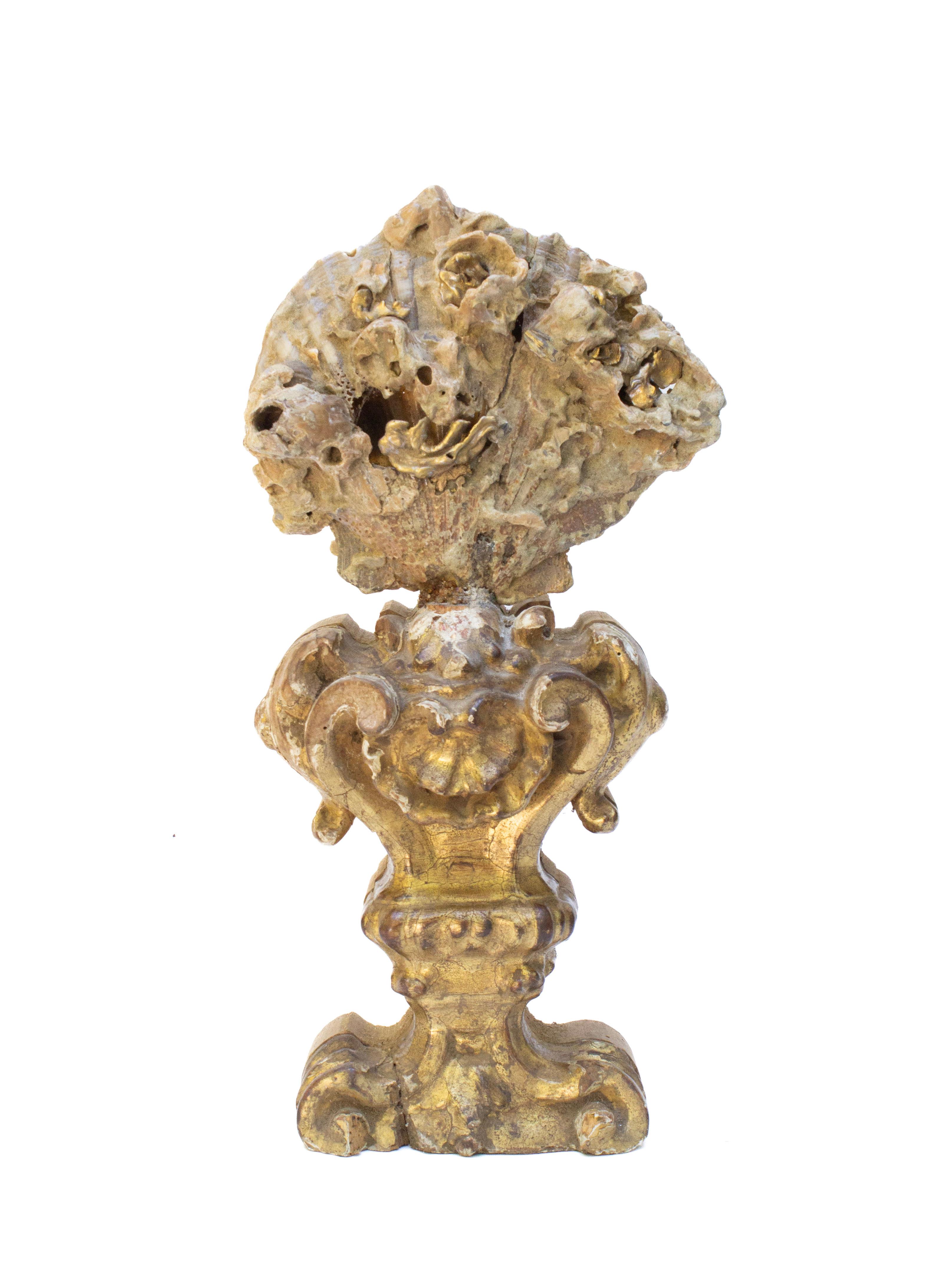 Rococo 18th Century Italian Giltwood Base with a Chesapecten Fossil Shell Formation For Sale