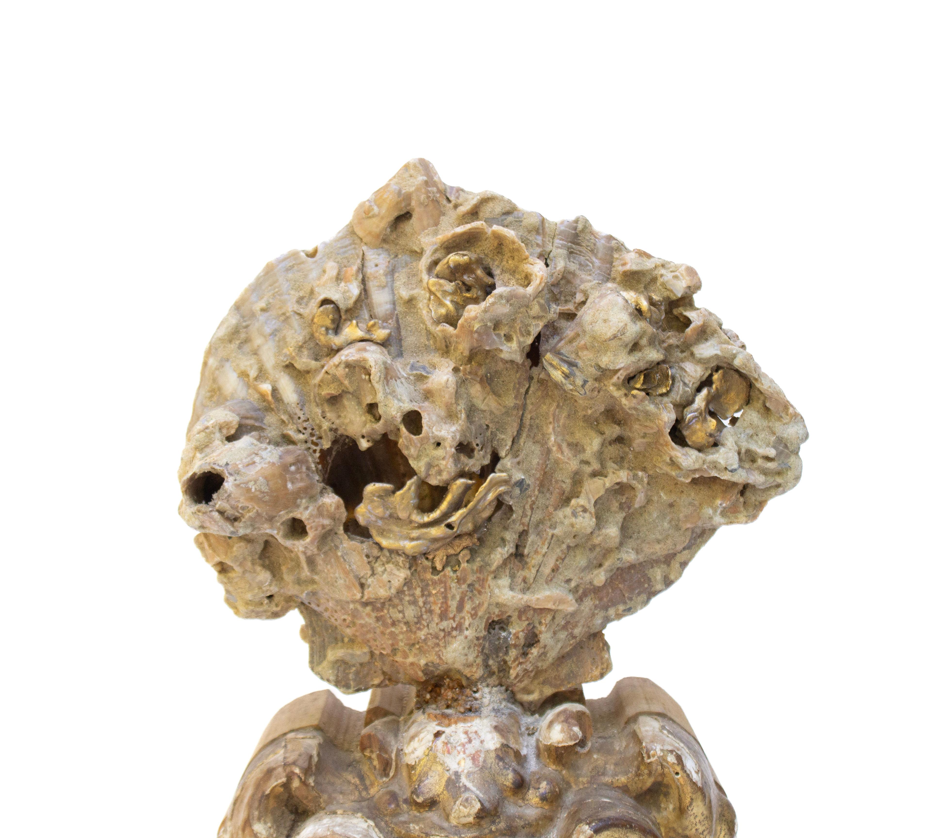 Hand-Carved 18th Century Italian Giltwood Base with a Chesapecten Fossil Shell Formation For Sale