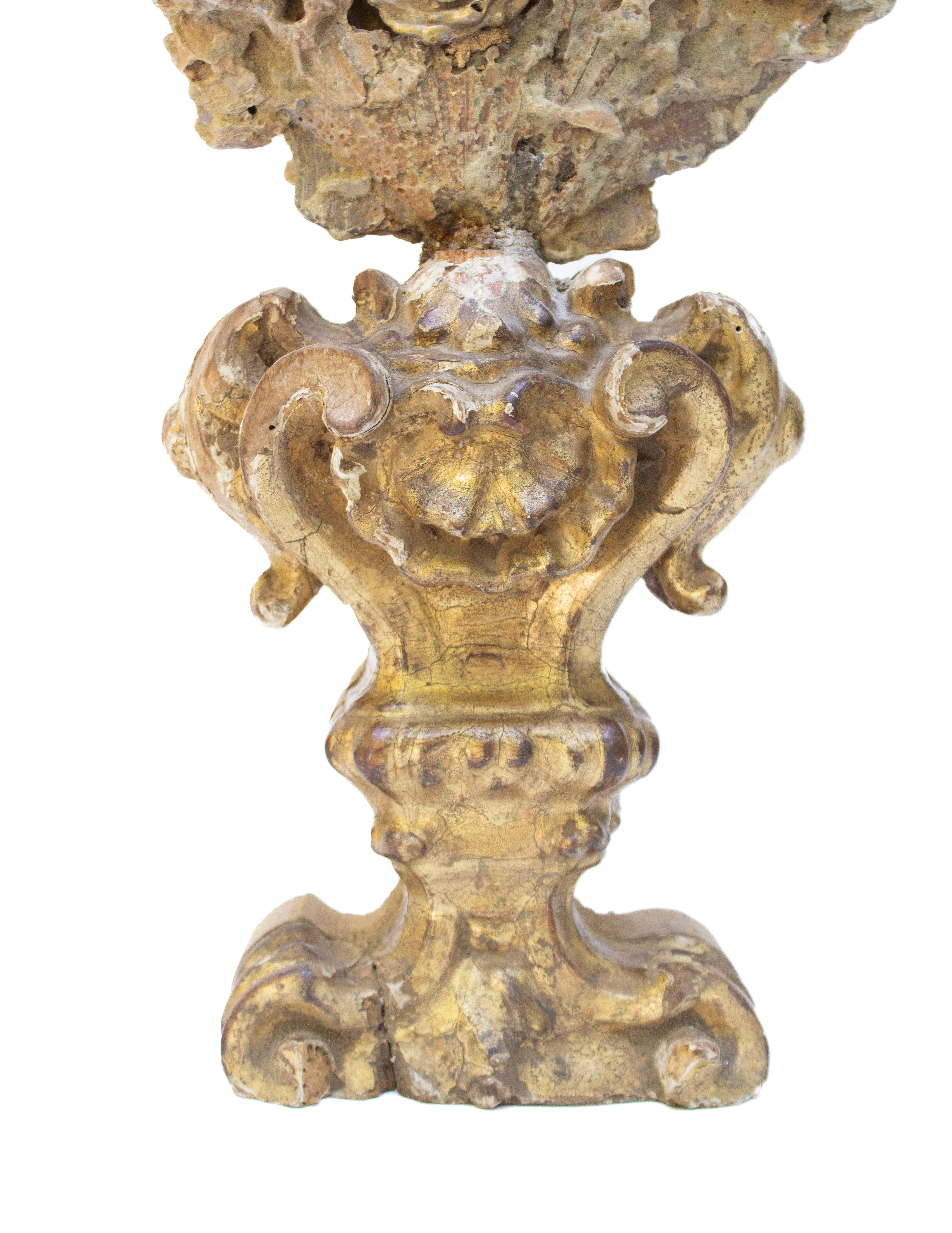 18th Century Italian Giltwood Base with a Chesapecten Fossil Shell Formation In Good Condition For Sale In Dublin, Dalkey