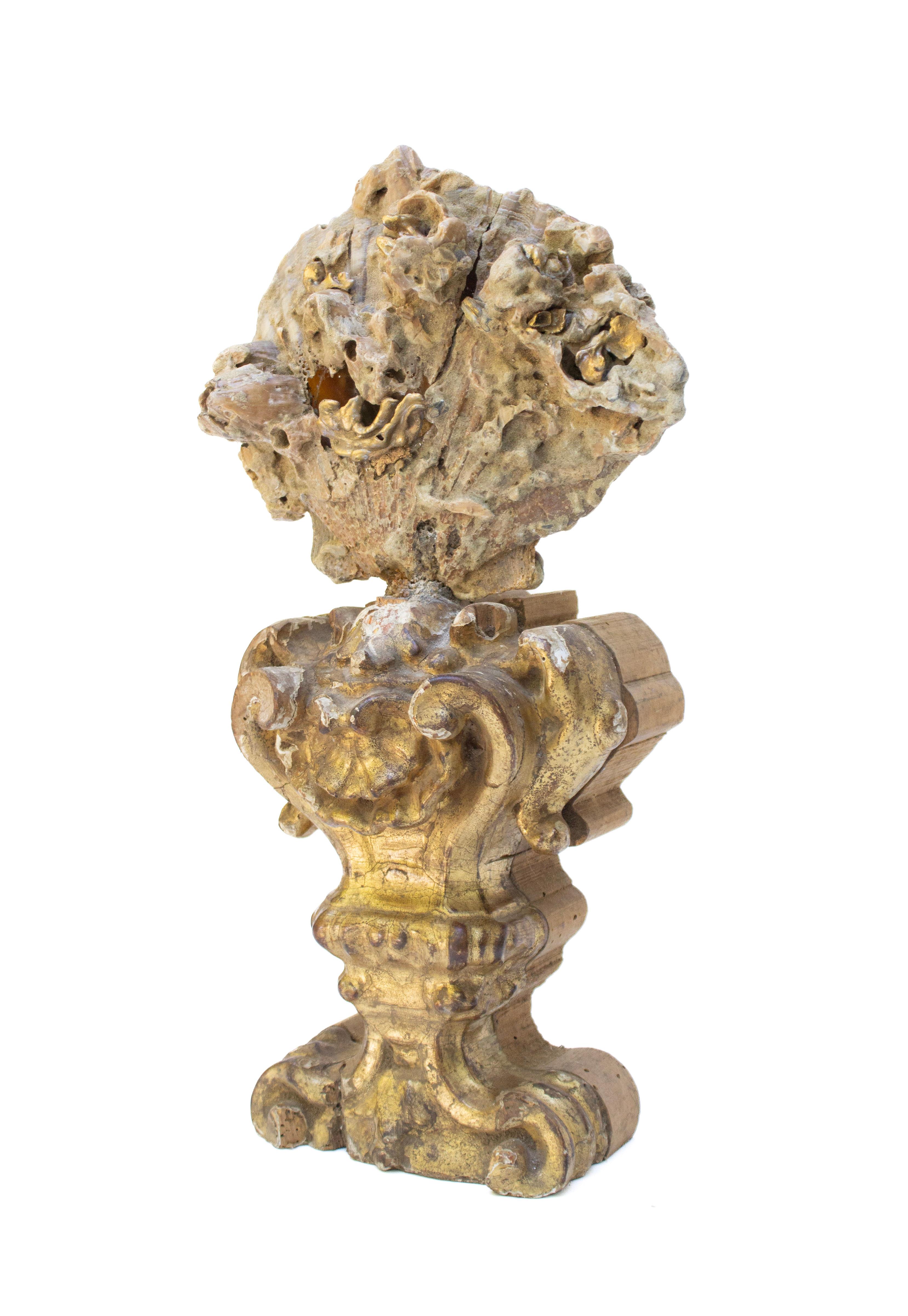 18th Century Italian Giltwood Base with a Chesapecten Fossil Shell Formation For Sale 1