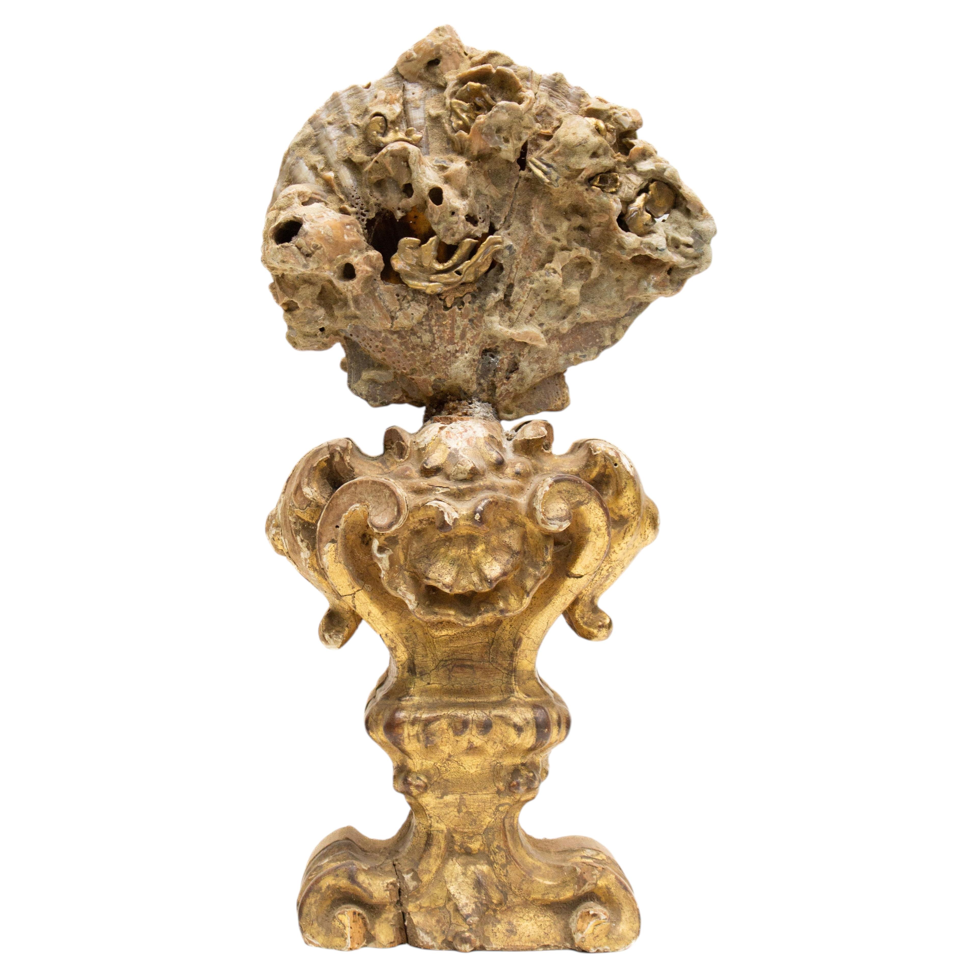 18th Century Italian Giltwood Base with a Chesapecten Fossil Shell Formation For Sale
