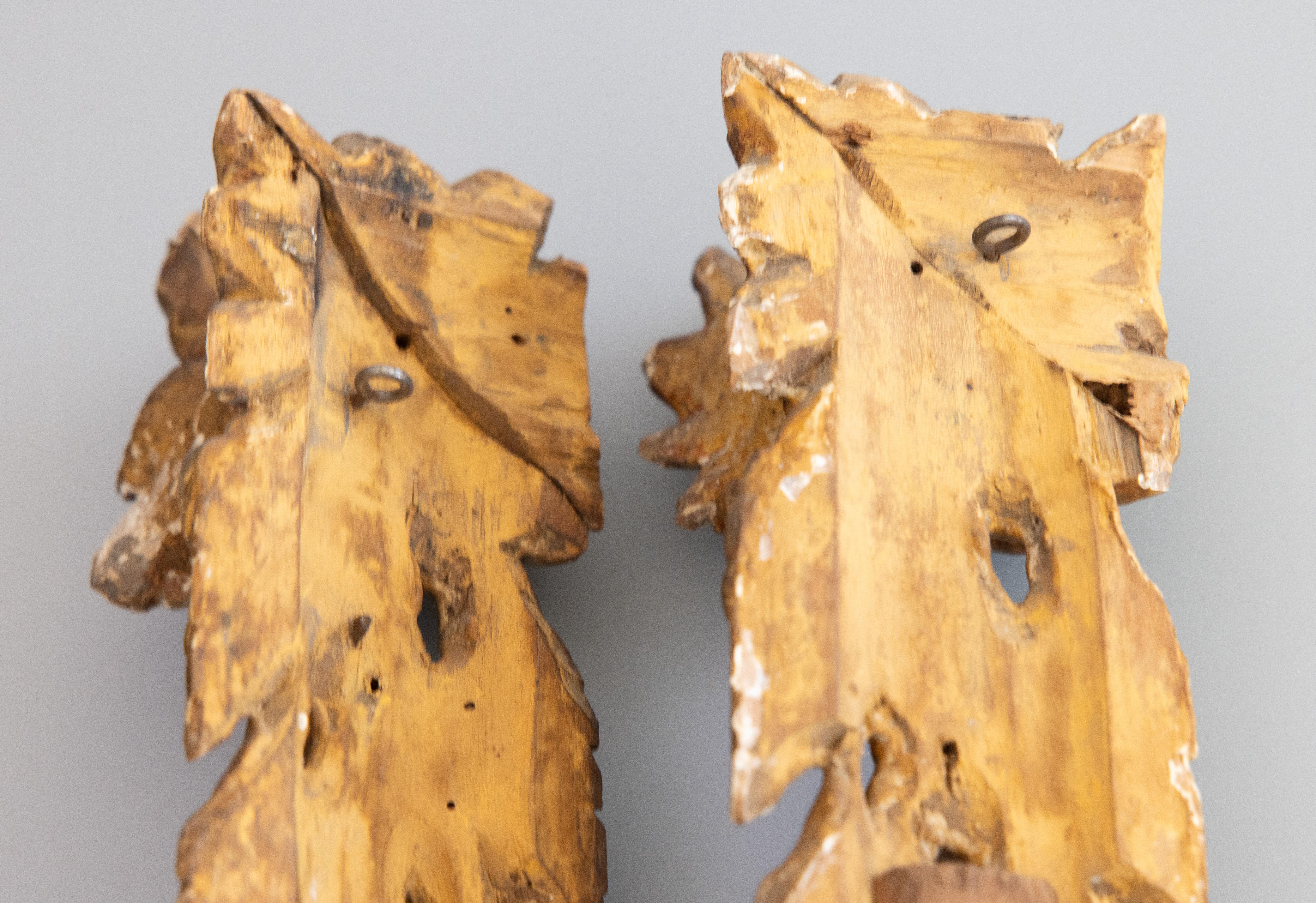 18. Jahrhundert Italienisch Giltwood Floral Hanging Architektonische Fragmente Wand Swags im Angebot 6