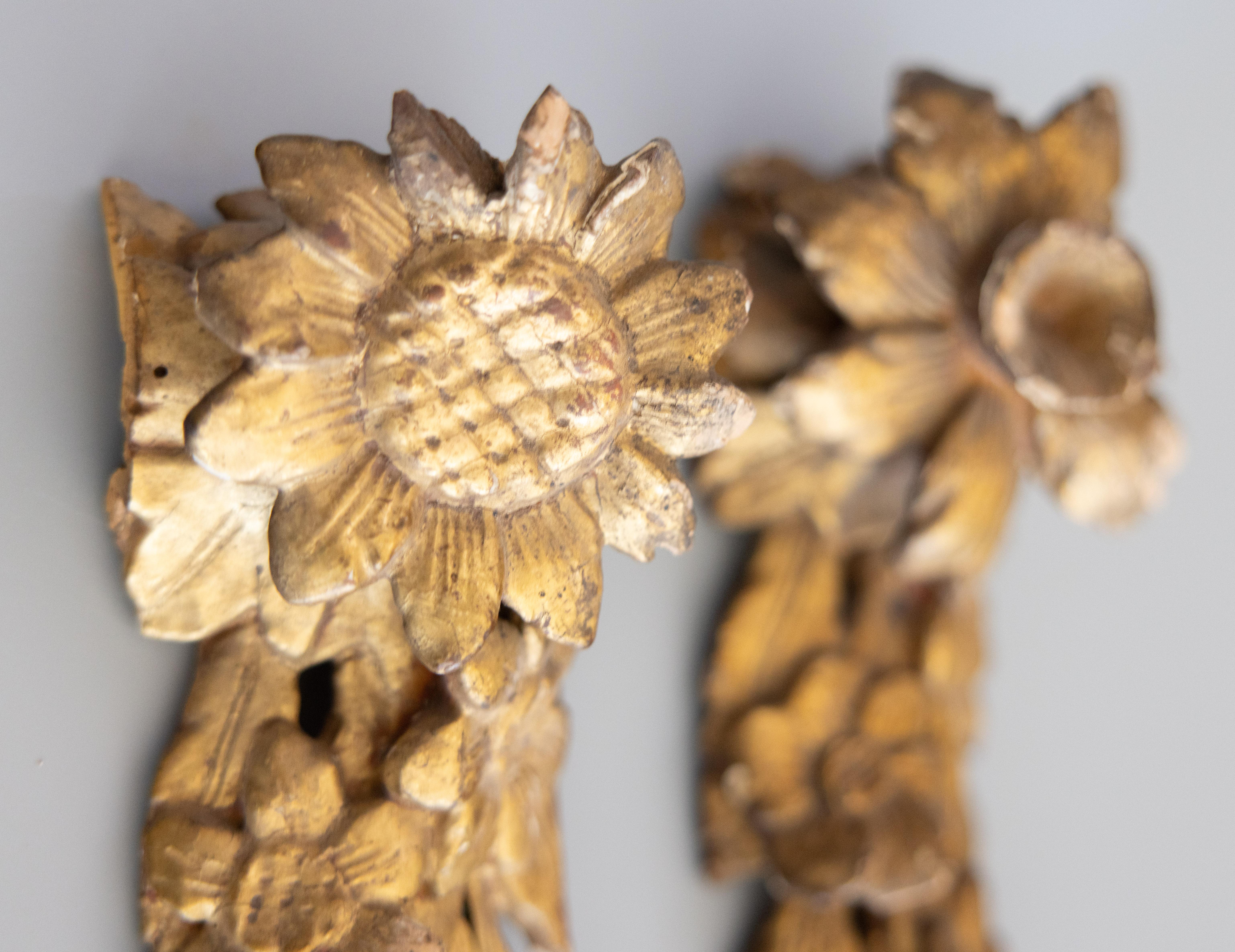 18. Jahrhundert Italienisch Giltwood Floral Hanging Architektonische Fragmente Wand Swags (Handgeschnitzt) im Angebot