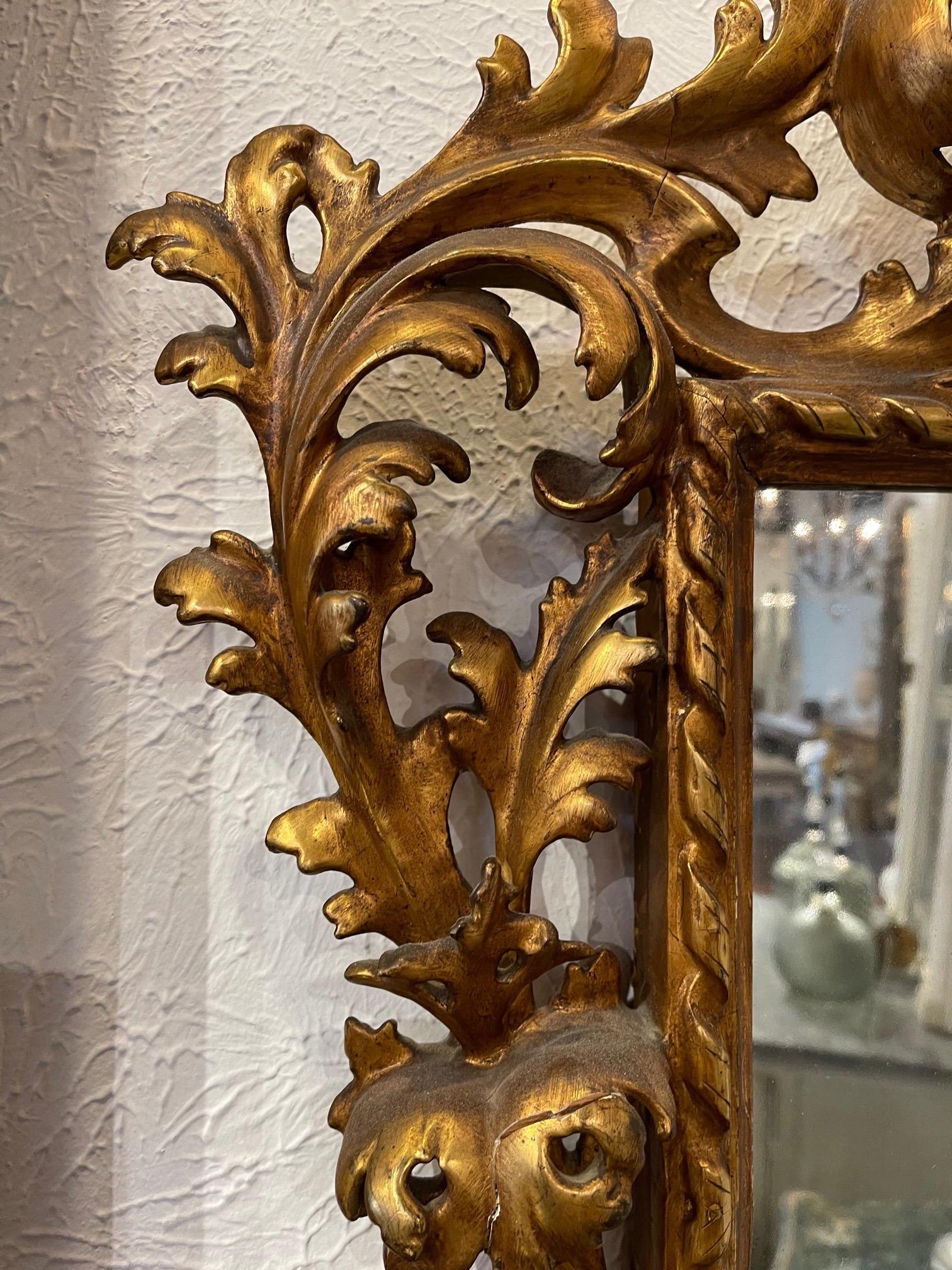 Miroir Florentine du XVIIIe siècle en bois doré italien Bon état à Dallas, TX