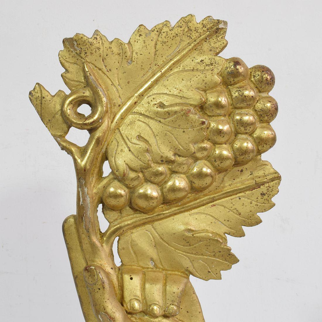 18th Century Italian Giltwood Hand Holding a Branch of Grapes 3