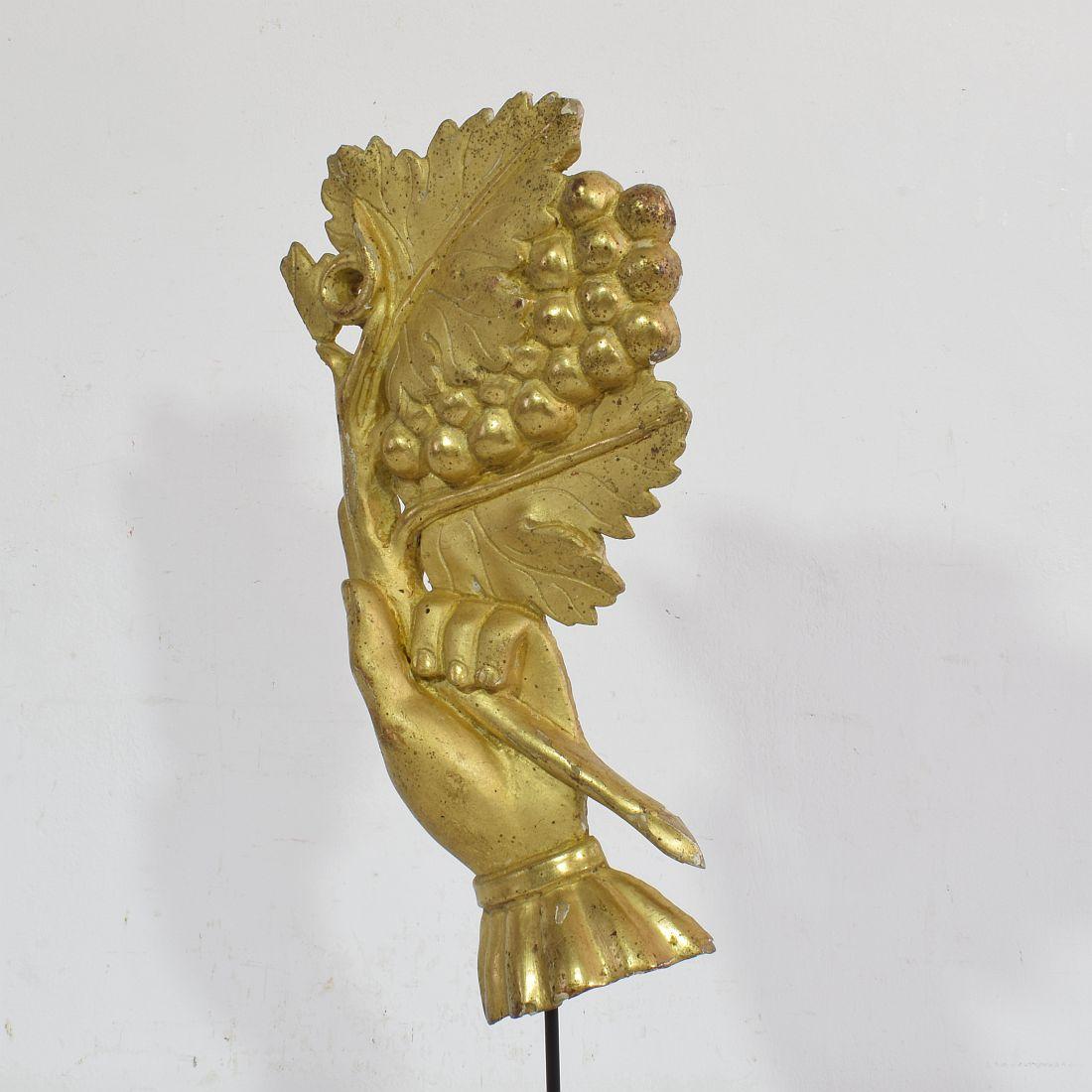 18th Century Italian Giltwood Hand Holding a Branch of Grapes 2