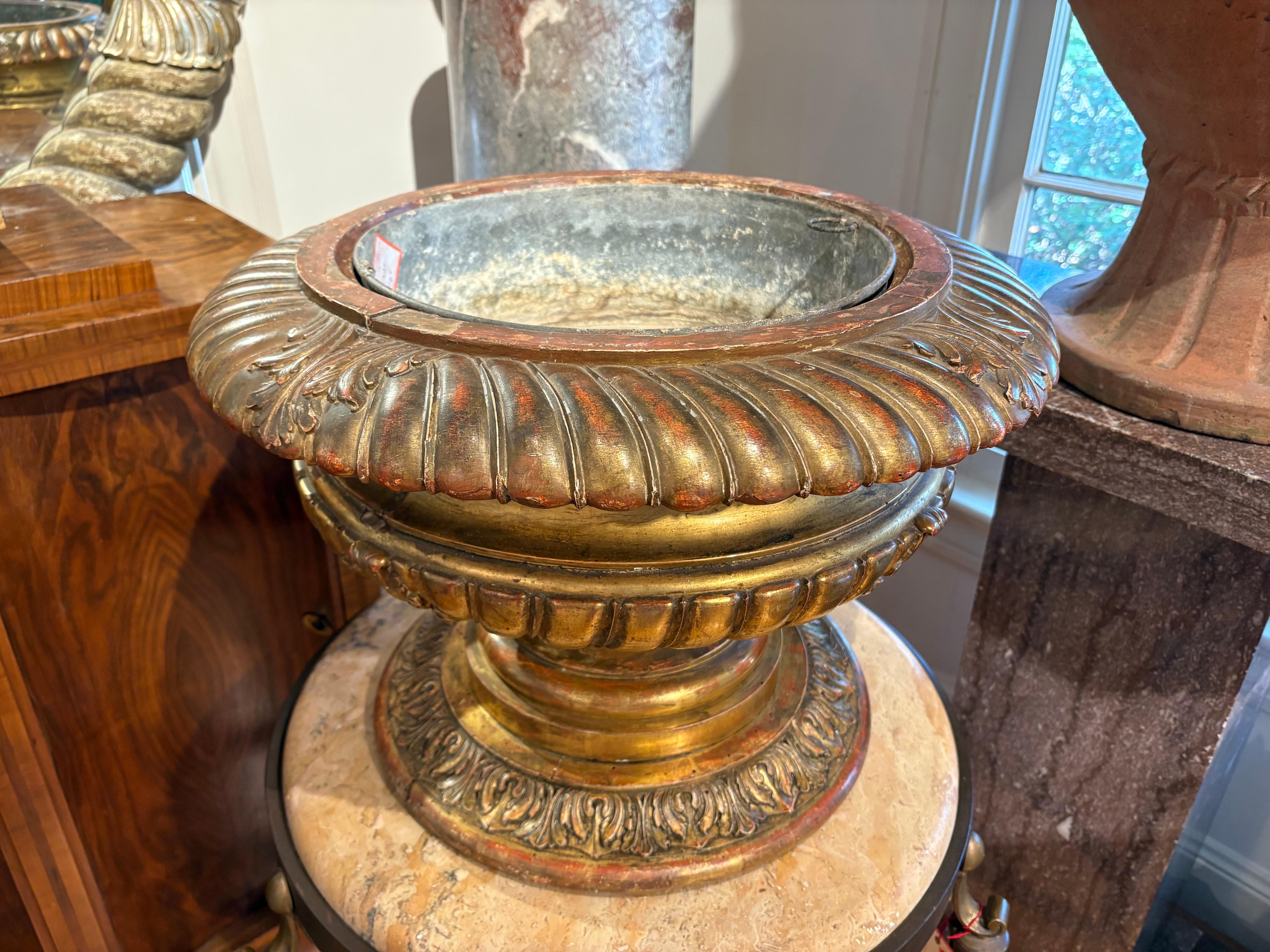 Italiano 18th Century Italian Giltwood Urn in vendita