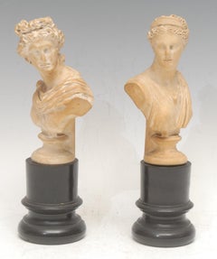 18th Century Italian Grand Tour Pair Of Classical Busts Apollo Belvedere & Diana