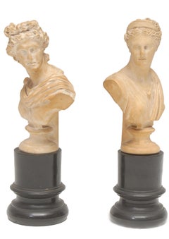 Paire de bustes classiques d'Apollo, Belvedere et Diane du XVIIIe siècle du Grand Tour d'Italie
