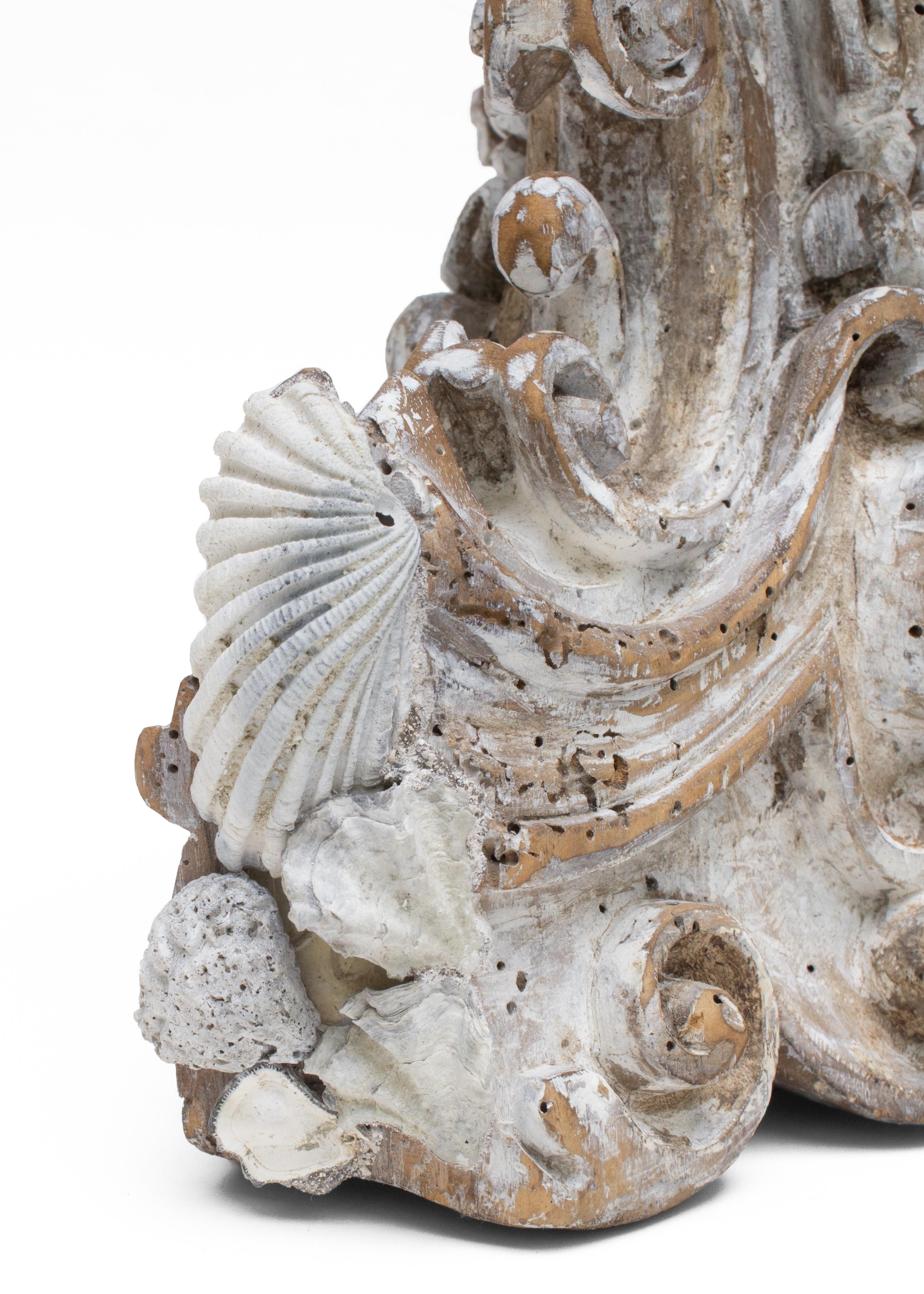 Rococo 18th Century Italian Hand Carved Base with Siliquaria and Fossil Shells