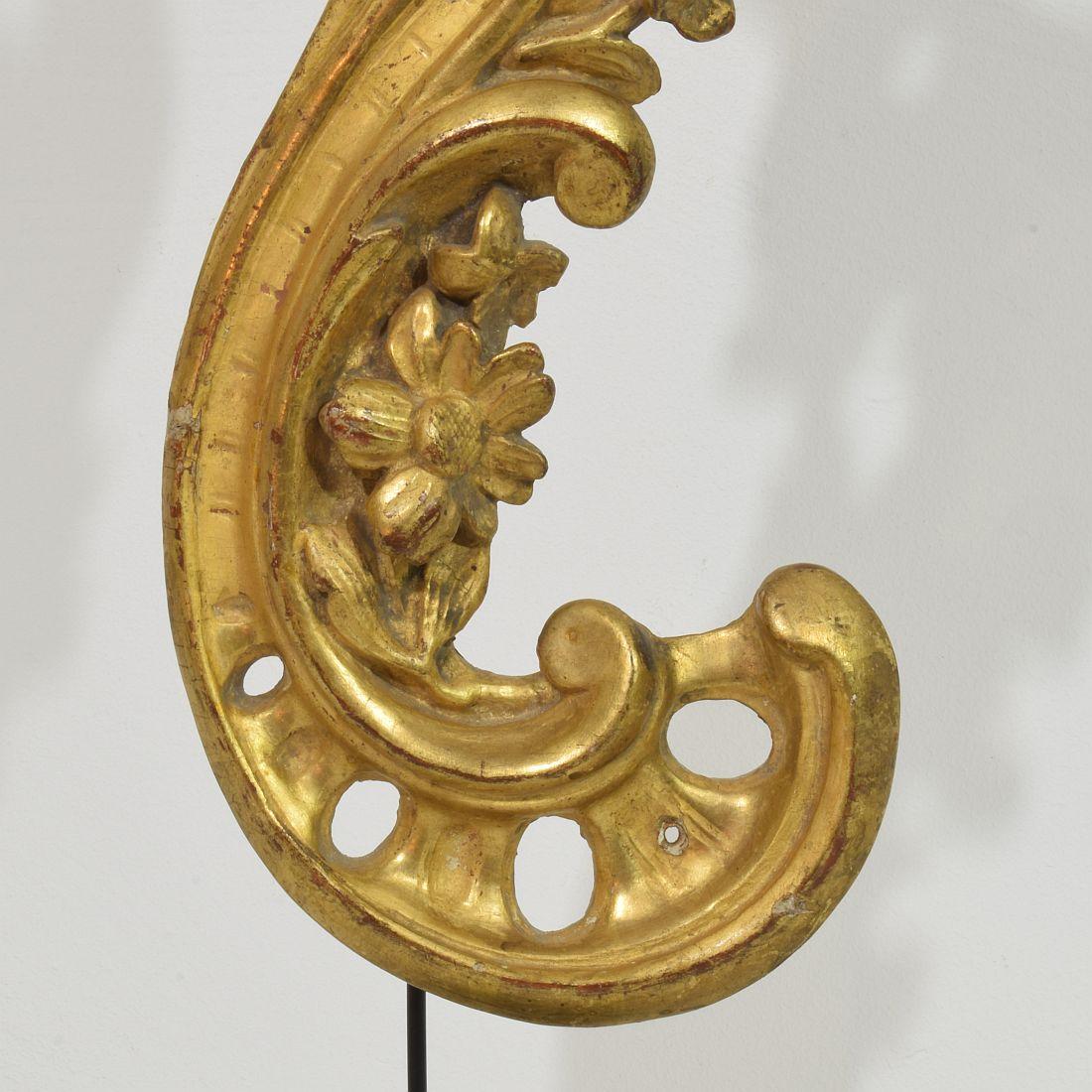 Ornement de boucle baroque en bois doré sculpté à la main, Italie du 18e siècle en vente 2