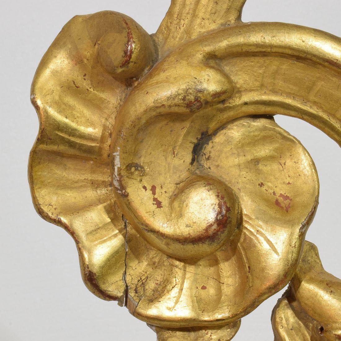 Ornement de boucle baroque en bois doré sculpté à la main, Italie du 18e siècle en vente 3