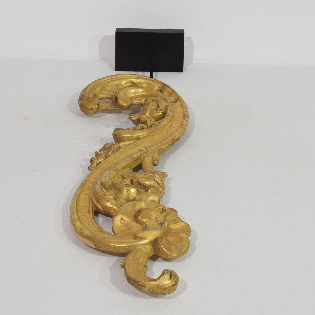 Ornement de boucle baroque en bois doré sculpté à la main, Italie du 18e siècle en vente 4