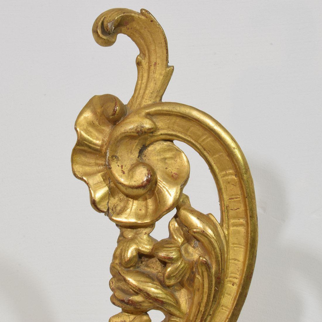 XVIIIe siècle et antérieur Ornement de boucle baroque en bois doré sculpté à la main, Italie du 18e siècle en vente