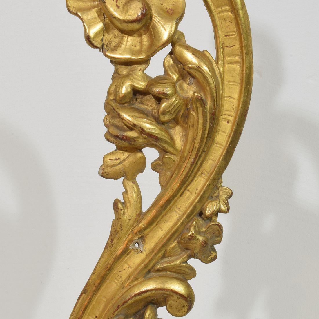 18. Jahrhundert Italienisch Hand geschnitzt Giltwood Barock Curl Ornament im Angebot 2