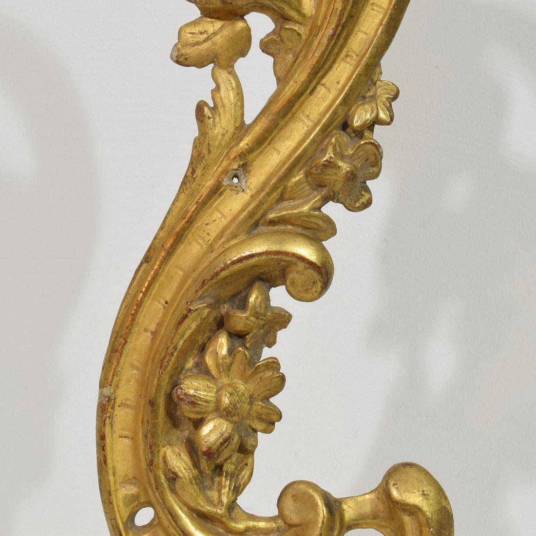 Ornement de boucle baroque en bois doré sculpté à la main, Italie du 18e siècle en vente 1