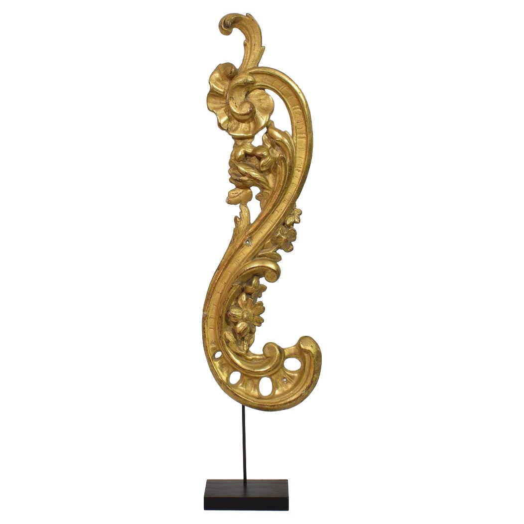 18th Century Italian Hand Carved Giltwood Baroque Curl Ornament