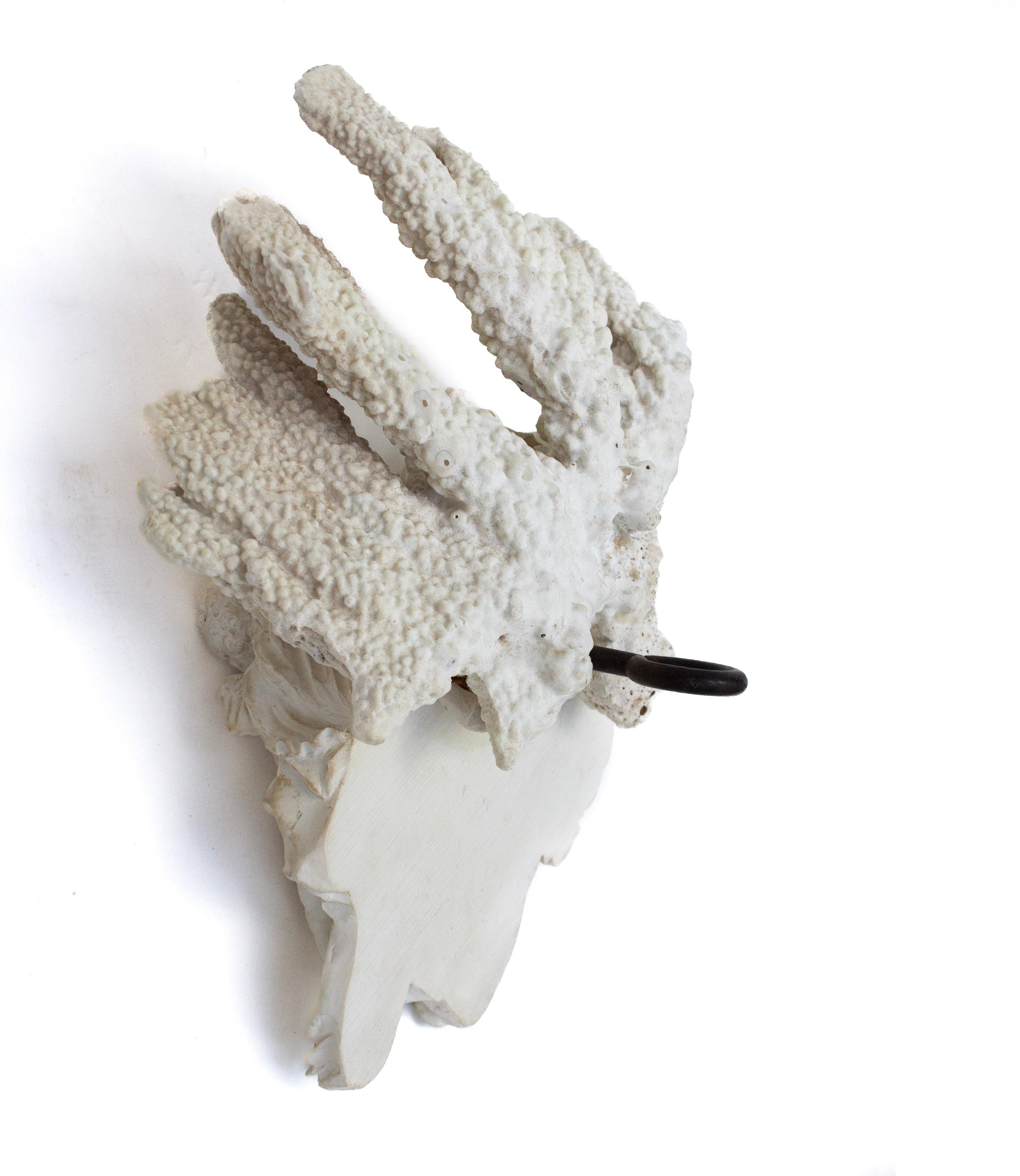 18th Century Italian Holy Water Font with Angels Framed with Fossil Coral In Good Condition For Sale In Dublin, Dalkey