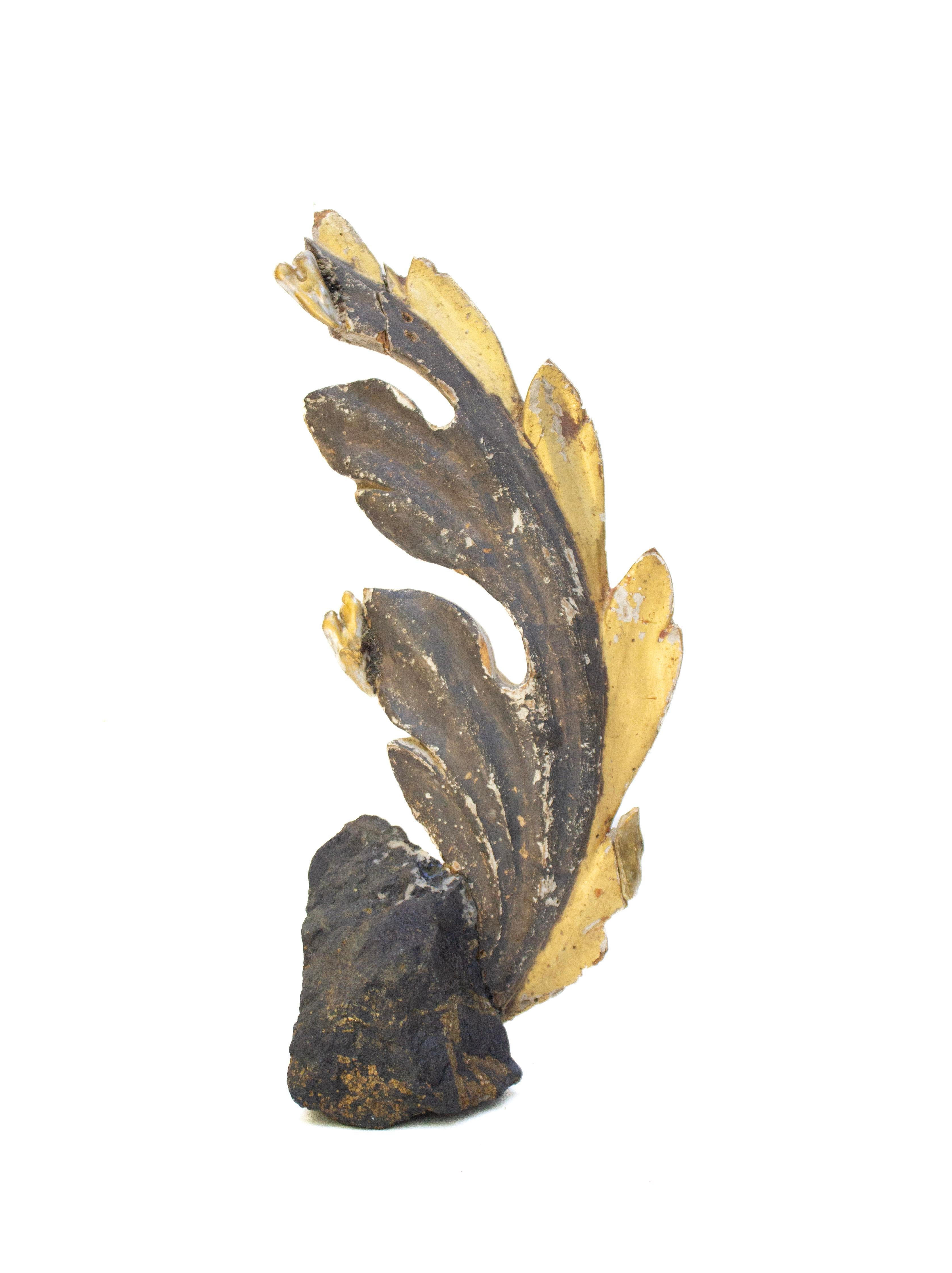 Sculptural 18th century Italian hand-carved leaf fragment mounted on a formation of pyrite in a magnetite matrix and adorned with natural-forming baroque pearls.

The fragment artifact originally came from Tuscany, Italy. The magnetite matrix